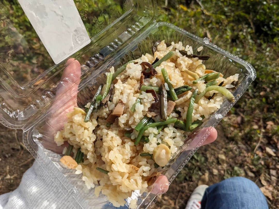 島貫凌さんのインスタグラム写真 - (島貫凌Instagram)「行ってきました、#愛岐トンネル群 ！ 名古屋駅からおよそ30分。愛知と岐阜の県境にある#秘境駅 #定光寺 駅近くにある、中央西線の廃線トンネルです。 普段は公開されていませんが、春と秋におよそ１週間ずつ、公開されています。庄内川（土岐川）中流の谷間を縫った14のトンネルは、中央線鉄道唱歌にも歌われたそう。  さて、午前10時すぎに行きましたが、かなり混雑。多くの方が紅葉を楽しんでいました。 もちろん私も紅葉を見てきたのですが…紅葉より地面を見ていた時間のほうが長かったかもしれません(笑)  線路や枕木は50年以上前に撤去されていますが、今もギッシリとバラスト（石）が残っています。さらに、かつての線路脇を見ながら歩いていると…普通に釘（犬釘？）が落ちていたり、信号機の台座が残っていたりと、見どころたくさん。  落石防護柵はよく見ると、役目を終えた古いレール。近くで見ると、文字が刻まれています。（写真6枚目。八幡製鉄1911年製造、という意味だそう）  さらには、廃線の下を通る暗渠まで見ることができます。しかも中に入れます。すごい…。 敷設部分の盛り土が流れないように、雨水を川に流すためのものだと思うのですが…（認識が間違ってたら教えてください）。明治当時のレンガ作りのまま残されています。  他にも、脱線跡、レンガの組み方の展示、トンネル発見に至った経緯、当時の写真、などなど見どころたくさん。書ききれません！意外と範囲が広いので、歩きやすい靴と格好で行くことをオススメします！  #愛知#岐阜#春日井#多治見#廃線#鉄道#線路#レール#トンネル#バラスト#暗渠#中央線#中央西線#紅葉 #メーテレ#アナウンサー#島貫凌」11月30日 21時30分 - ryo_shimanuki_nbn_