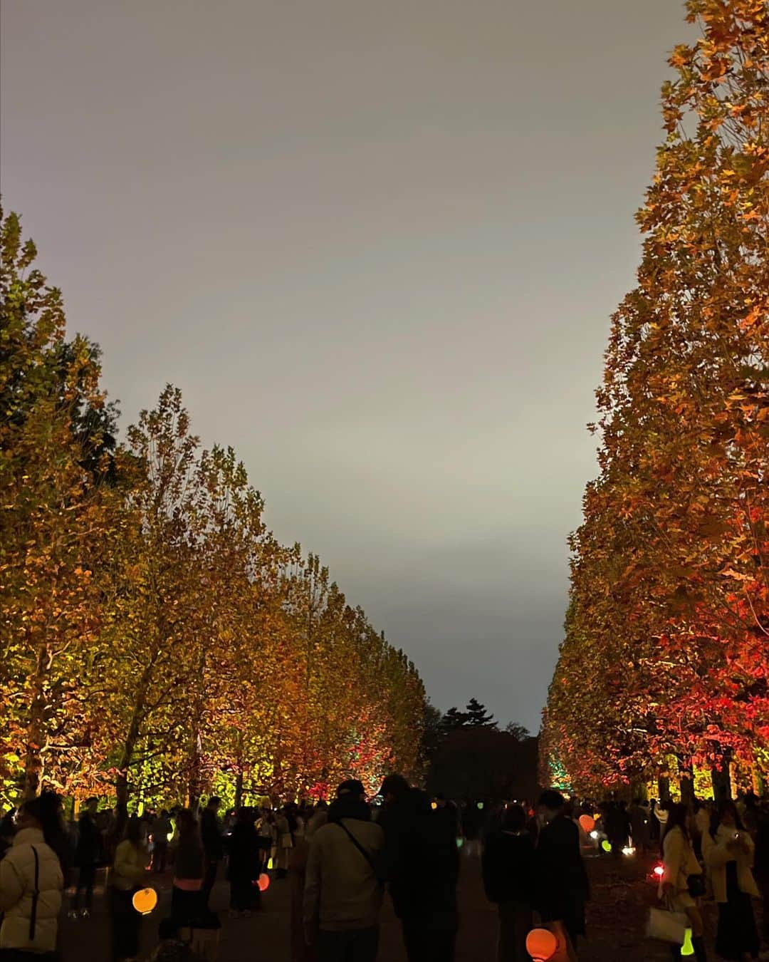 森山紗希さんのインスタグラム写真 - (森山紗希Instagram)「🍁  紅葉のライトアップ去年行けなかったから念願♡  ランタンを持って歩けるから、 その光がイルミネーションみたいだったんです✨ 寒くなかったらもっとあの空間にいたかったなぁ  この日おろしたガウンコートがお気に入り。 襟が大きめなので小顔に見せてくれるんです😌 @proportionbodydressing   #紅葉  #紅葉スポット  #紅葉ライトアップ  #新宿御苑  #いちょう並木  #いちょう  #冬  #冬コーデ  #ロングコート  #proportionbodydressing」11月30日 21時25分 - morisaki0404