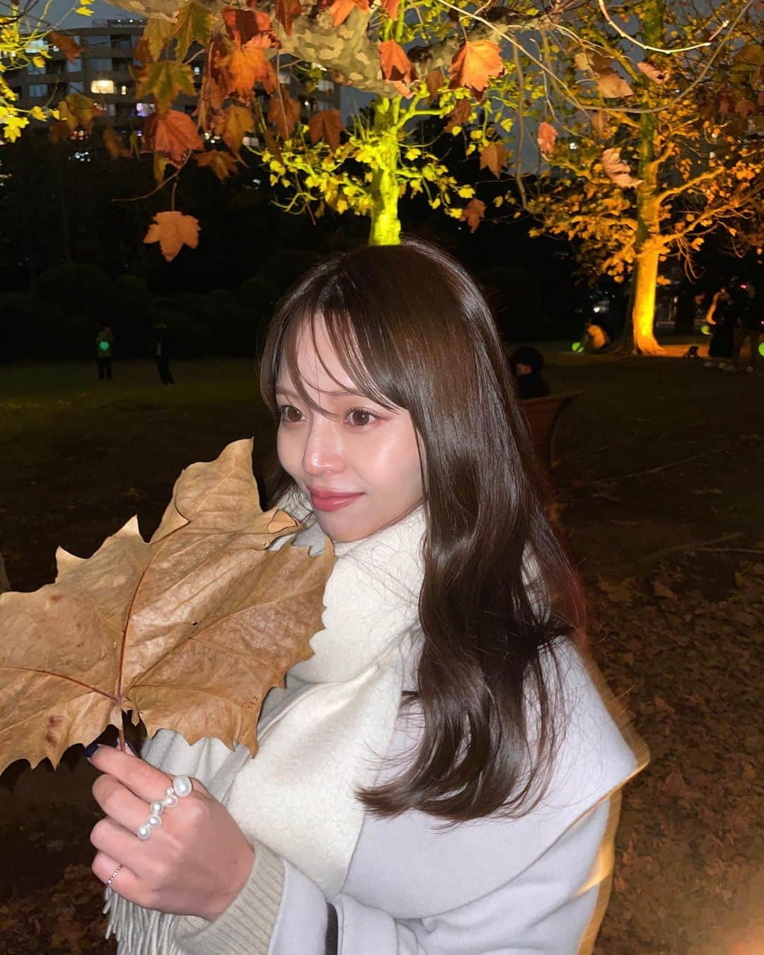 森山紗希さんのインスタグラム写真 - (森山紗希Instagram)「🍁  紅葉のライトアップ去年行けなかったから念願♡  ランタンを持って歩けるから、 その光がイルミネーションみたいだったんです✨ 寒くなかったらもっとあの空間にいたかったなぁ  この日おろしたガウンコートがお気に入り。 襟が大きめなので小顔に見せてくれるんです😌 @proportionbodydressing   #紅葉  #紅葉スポット  #紅葉ライトアップ  #新宿御苑  #いちょう並木  #いちょう  #冬  #冬コーデ  #ロングコート  #proportionbodydressing」11月30日 21時25分 - morisaki0404