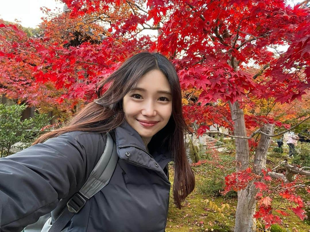 森ニーナのインスタグラム：「みなさんは紅葉今年はみれたかな？🍁  #kyoto #京都」