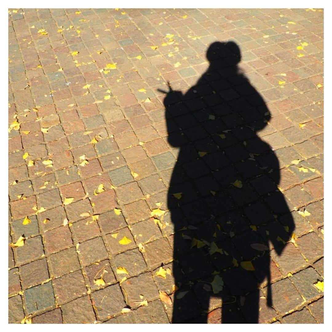 富田麻帆さんのインスタグラム写真 - (富田麻帆Instagram)「秋だね〜🍂✨」11月30日 21時38分 - maho_tomita6261