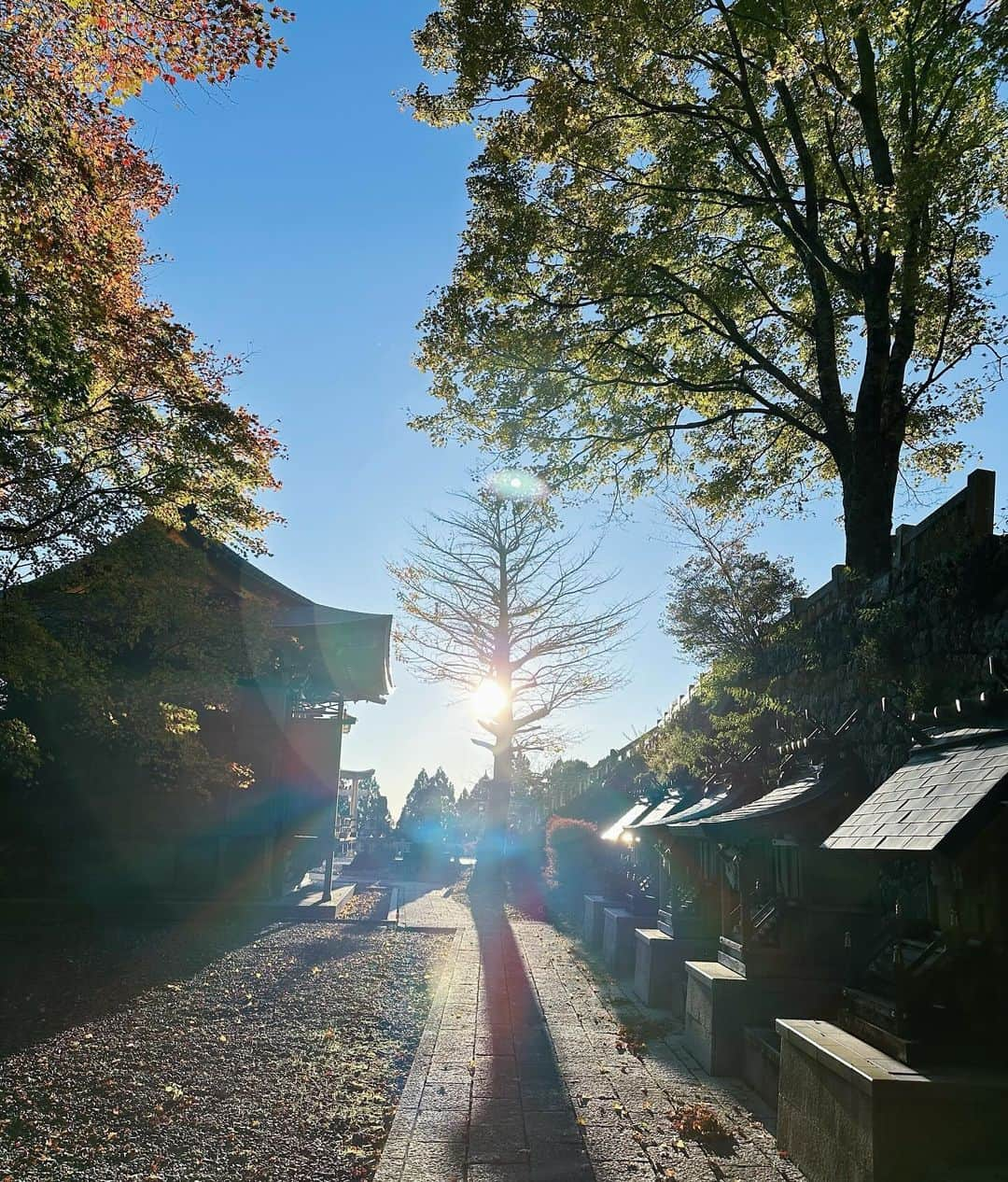 ちゃんかおさんのインスタグラム写真 - (ちゃんかおInstagram)「. . . . 🌞 . . #秋葉神社」11月30日 21時40分 - chankao_129