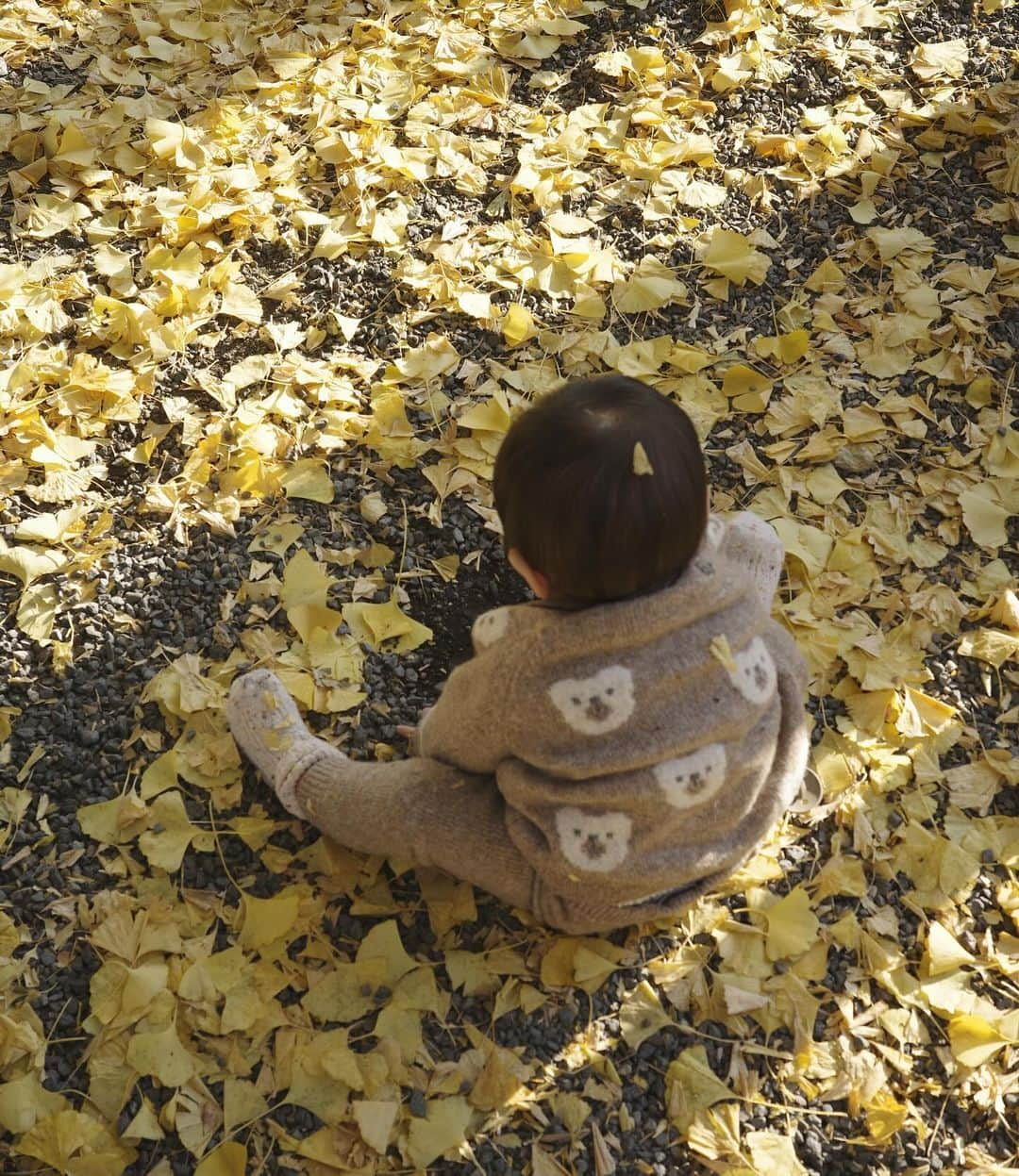 神田希未菜のインスタグラム：「最近の色々💛🍂 明日から12月なんて早すぎない？🎅🏻  ①イチョウとテル ②京都に帰ってくる前に何気に初めての東京タワー ③私のロック画面 ④Lignum ⑤フライングタイガーで買い足し ⑥えまてる ⑦私とてるにイチョウ付けてくれる優しいおりん ⑧お気に入りコーデな日 ⑨太陽の塔とナイススマイルなてる」