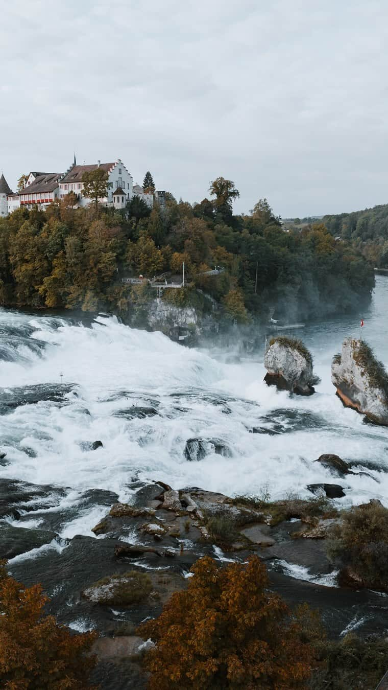 IWC Schaffhausen - Japanのインスタグラム：「IWCの物語はここから始まります。IWC発祥の地であるシャフハウゼンのライン滝は、単にパワーの源というだけでなく、IWCの尽きることのないインスピレーションの源でもあります。「ポートフィノ・パーペチュアル・カレンダー」 (Ref. IW344602)には精密に調整されたムーブメントに完璧に収められています。IWCの伝統を受け継ぐこのタイムピースは、18Kレッドゴールド製40mmケースを備えています。 #IWCHolidaySeason  #IWCwatches  #TheOriginOfTime  #IWCPortofino」