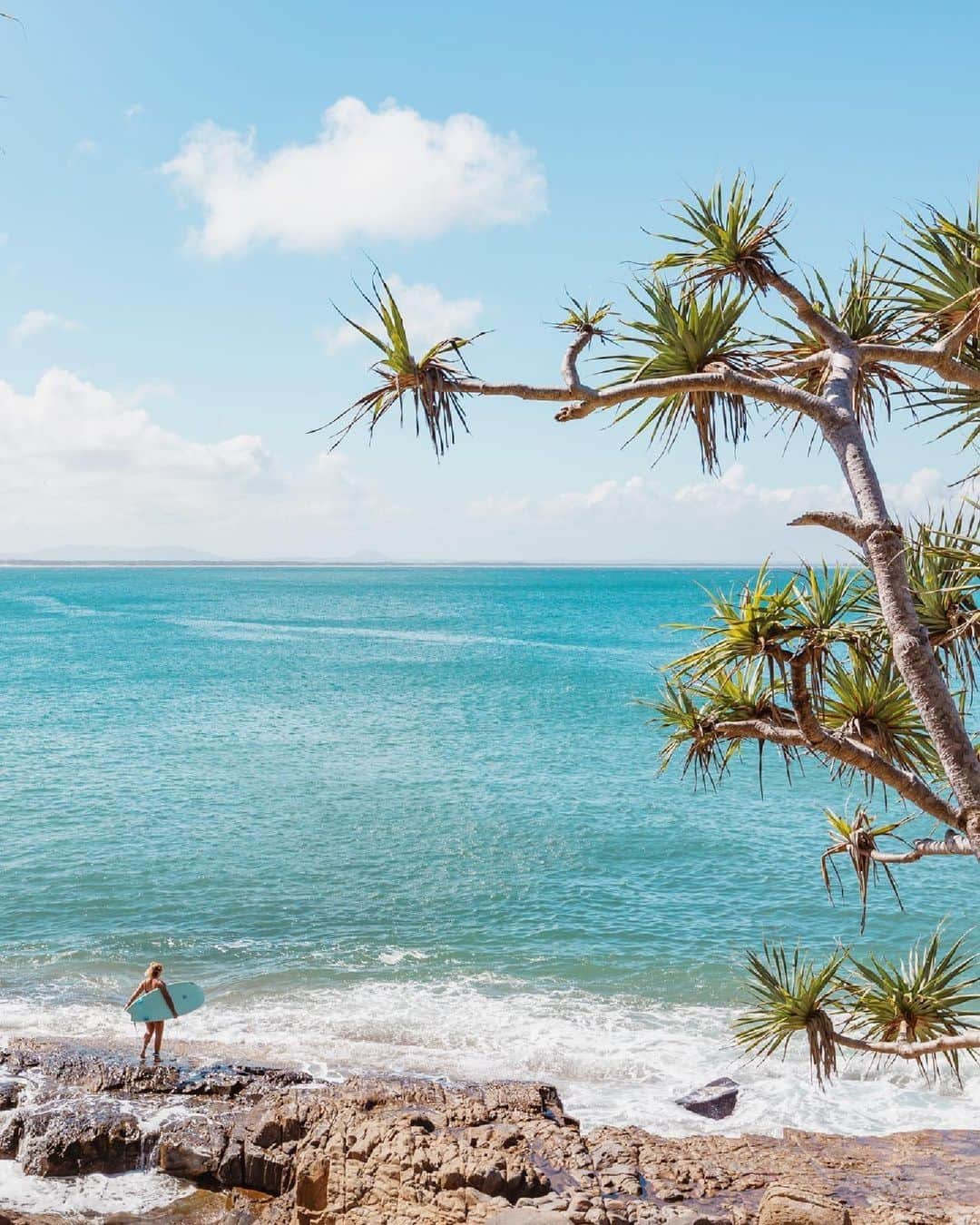 Australiaのインスタグラム：「Don't worry, beach happy 🏄‍♀️🌞 Craving the sand beneath your feet, sun on your skin and salt in the air? Well, you're in luck - it's officially the first day of #summer Down Under! From December to February, this season graces us with sunny, warm days that are best spent at one of our gorgeous beaches - just ask @letmesea, who snapped this shot in @queensland's @visitnoosa!   #SeeAustralia #ComeAndSayGday #ThisIsQueensland #VisitNoosa  ID: a coastal scene showing a surfer standing on some rocks observing the ocean. A pandanus tree peaks in from the right of the frame.」