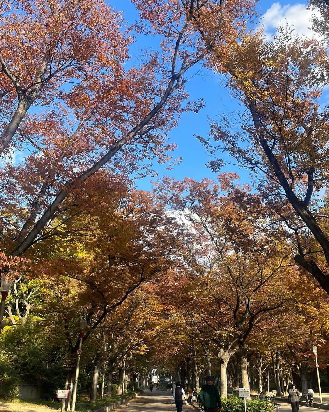 畑中萌衣さんのインスタグラム写真 - (畑中萌衣Instagram)「たくさんのお祝いメッセージや歌詞動画ありがとうございました🥲❤️ 愛でしかない😖 目標は強く生きること！」11月30日 22時39分 - 11mei_