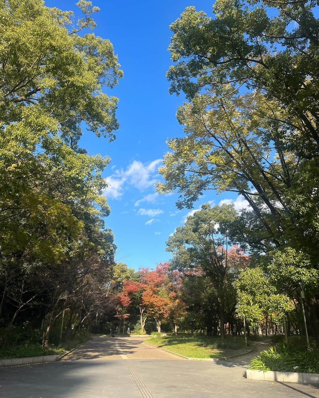 畑中萌衣さんのインスタグラム写真 - (畑中萌衣Instagram)「たくさんのお祝いメッセージや歌詞動画ありがとうございました🥲❤️ 愛でしかない😖 目標は強く生きること！」11月30日 22時39分 - 11mei_