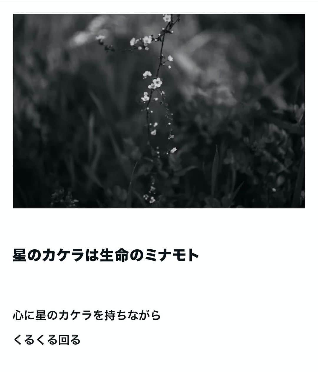 鶴田真由のインスタグラム：「noteアップしました。 お時間ある時に覗いて頂けたら嬉しく思います🥰  https://note.com/mayutsuruta/n/nf04c79107261  #鶴田真由 #佐治晴夫 #星のカケラ #生命のリズム #詩を奏でる #詩を聞くためのレシピ」