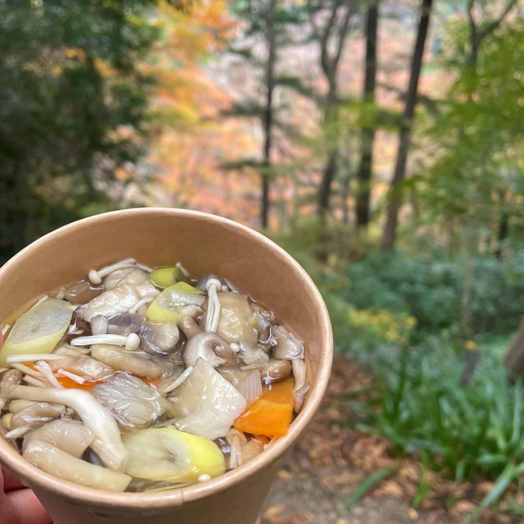 浦野モモさんのインスタグラム写真 - (浦野モモInstagram)「🍁 山頂までテクテク登りました！！ きのこ汁がごちそう〜🤤 #駆け込み秋 🍂」11月30日 22時51分 - momourano