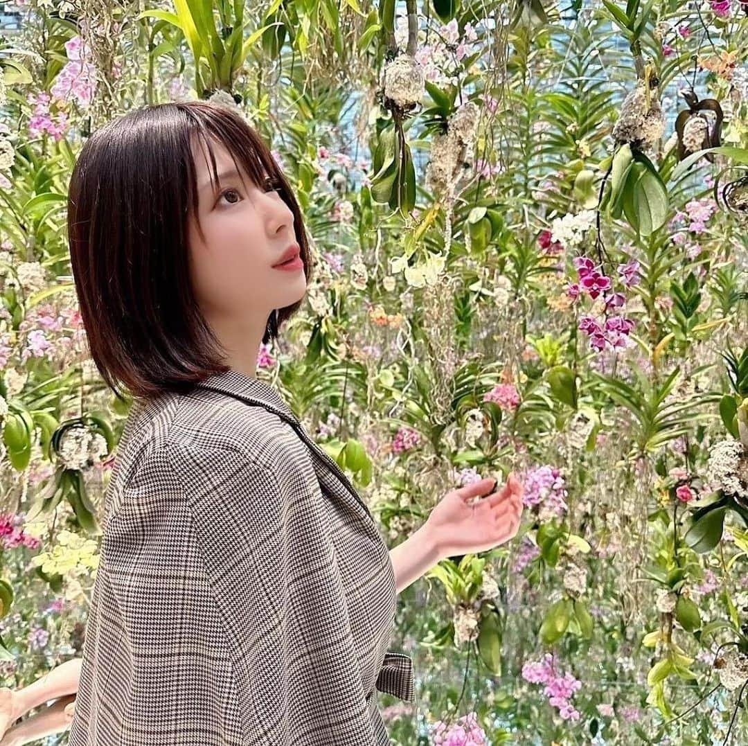 辻井ほのかさんのインスタグラム写真 - (辻井ほのかInstagram)「Thank you for November❄️💖  #flower  #fashion  #november  #cute  #beauty  #lovely #日本女孩 #日本美女 #性感女演員 #日本性感女星」11月30日 23時06分 - 5.tsujihoka