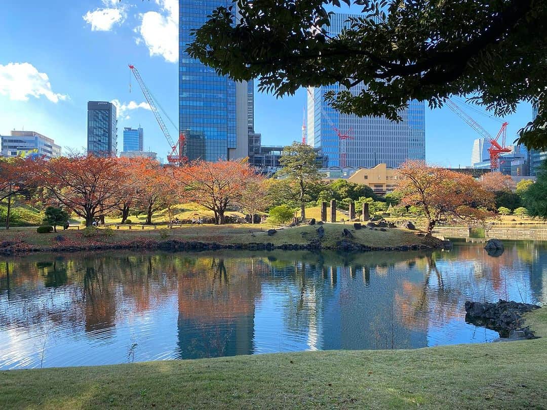 InterContinental Tokyo Bayのインスタグラム：「. ホテルから徒歩８分のところにある旧芝離宮庭園では、紅葉を見ることができます🍁  今週末くらいまで見頃となりますので、お近くにいらした際は立ち寄られてはいかがでしようか。  ホテル近隣には、浜離宮庭園もございます。  #ホテルインターコンチネンタル東京ベイ  #intercontinentaltokyobay  #インターコンチネンタル東京ベイ  #intercontinental  #紅葉スポット #旧芝離宮庭園  #浜松町 #紅葉 #紅葉狩り #🍁  #ホテル近隣スポット #浜離宮庭園 もおすすめ #秋のお出かけ #autumnleaves」