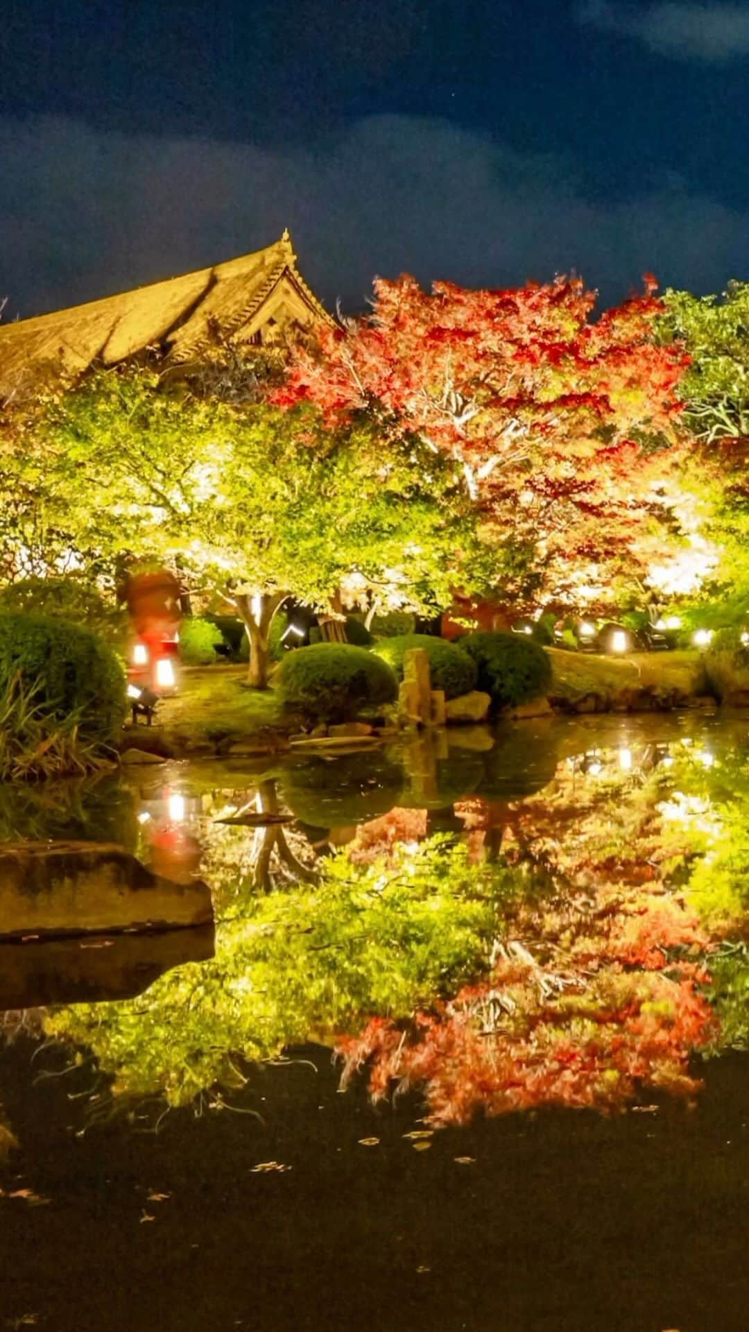 All Nippon Airwaysのインスタグラム：「🍂 Embrace the serenity of #TojiTemple! 🏯🍁  Immerse yourself in the symphony of rustling leaves and temple bells as you wander the scenic grounds. The crisp #autumn air carries a sense of tranquility that you won’t find anywhere else.」