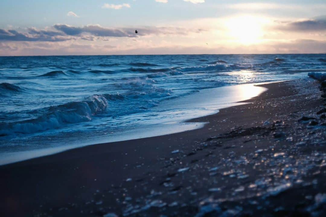 岩倉しおりさんのインスタグラム写真 - (岩倉しおりInstagram)「冬の海の宝石。  冬の海にいくと波打ち際に氷の欠片がたくさん落ちていてそれが夕日に照らされてキラキラとしてきれいだった。」11月30日 23時41分 - iwakurashiori