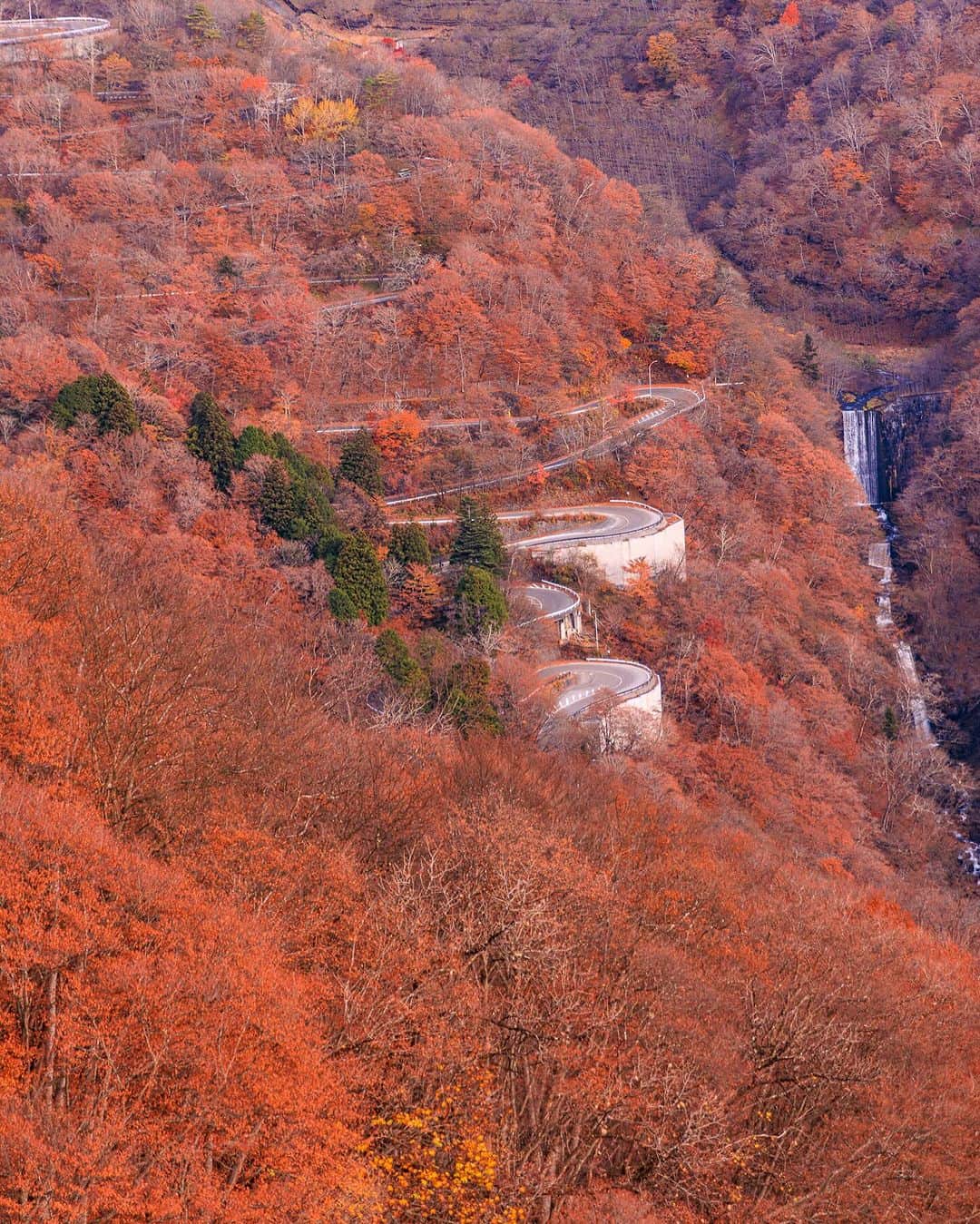 SHOCK EYEさんのインスタグラム写真 - (SHOCK EYEInstagram)「先日訪れた紅葉深まる日光🍁  神橋、いろは坂、ロープウェイに乗って見にいった華厳の滝に中禅寺湖。  どこもかしこも、オレンジ色に染まる山々は本当に綺麗で心が洗われるよう。  聖地として知られる日光は本当に美しい場所だ✨🙏  #日光 #紅葉 #二荒山神社 #神橋 #華厳の滝 #中禅寺湖」11月30日 23時58分 - shockeye_official