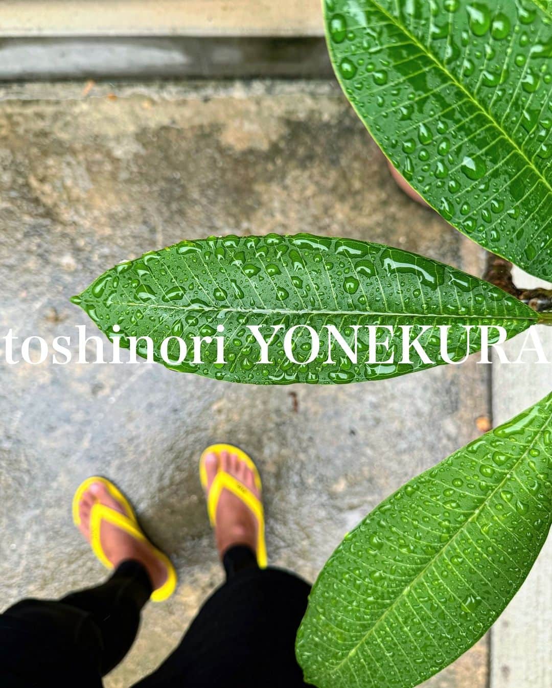 米倉利紀のインスタグラム：「雨、散歩☔️  #宮古島 #散歩 #LUNCH #徒歩」