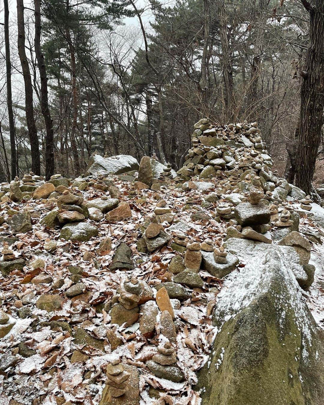ソルジさんのインスタグラム写真 - (ソルジInstagram)「온 세상이 하얘졌다🤍  #설산 🍀❄️🏔️🩷🙌🏻🙏🏻」12月1日 0時40分 - soul.g_heo