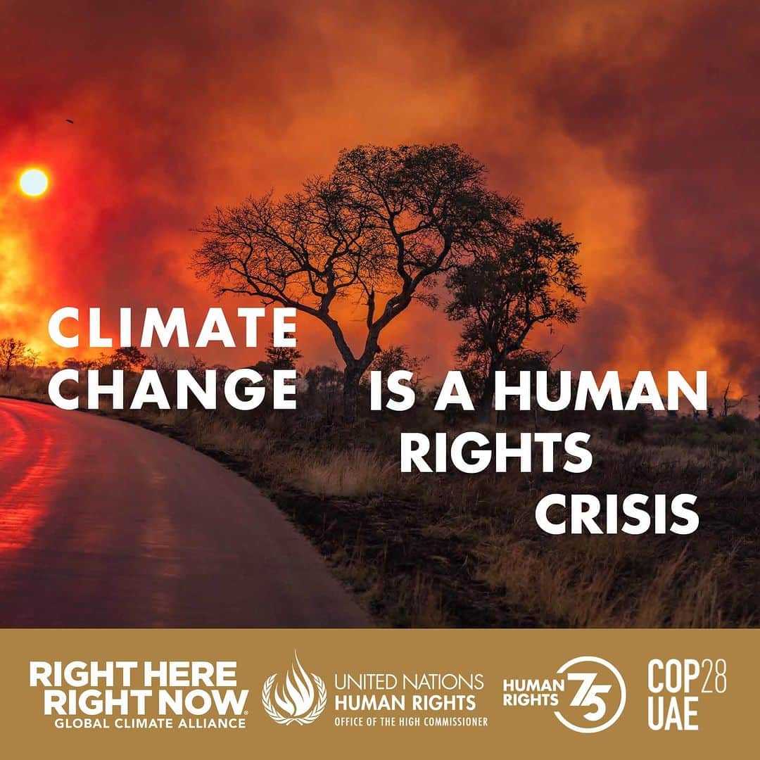 ジェフ・ブリッジスのインスタグラム：「It’s time to address #ClimateChange as the #HumanRights crisis it is.   For the 75th Anniversary of the Universal Declaration of Human Rights, join the Right Here, Right Now Global Climate Alliance @rhrn_climate and global partner @UnitedNationsHumanRights in calling for the UN Climate Change Conference @COP28uaeofficial to advance your right to a healthy environment.   By working together and supporting inclusive, rights-based climate action for people and the planet, we can realize a better, more sustainable future for all.   #HumanRights75」