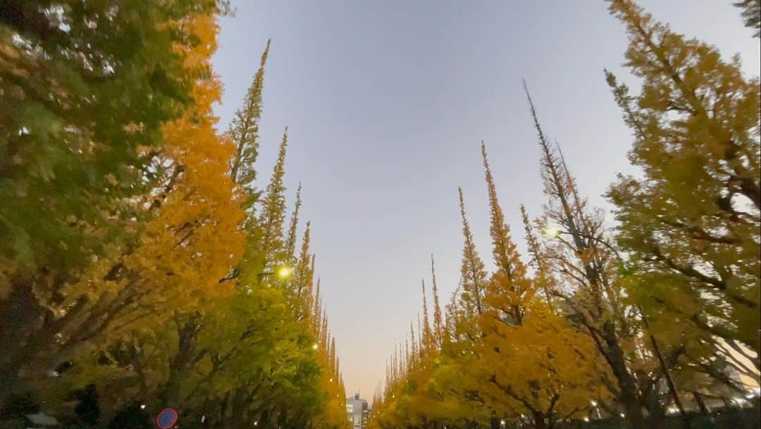 片山萌美のインスタグラム：「🍁  #定期的nature #神宮外苑いちょう並木 #japan #fall #autumn」