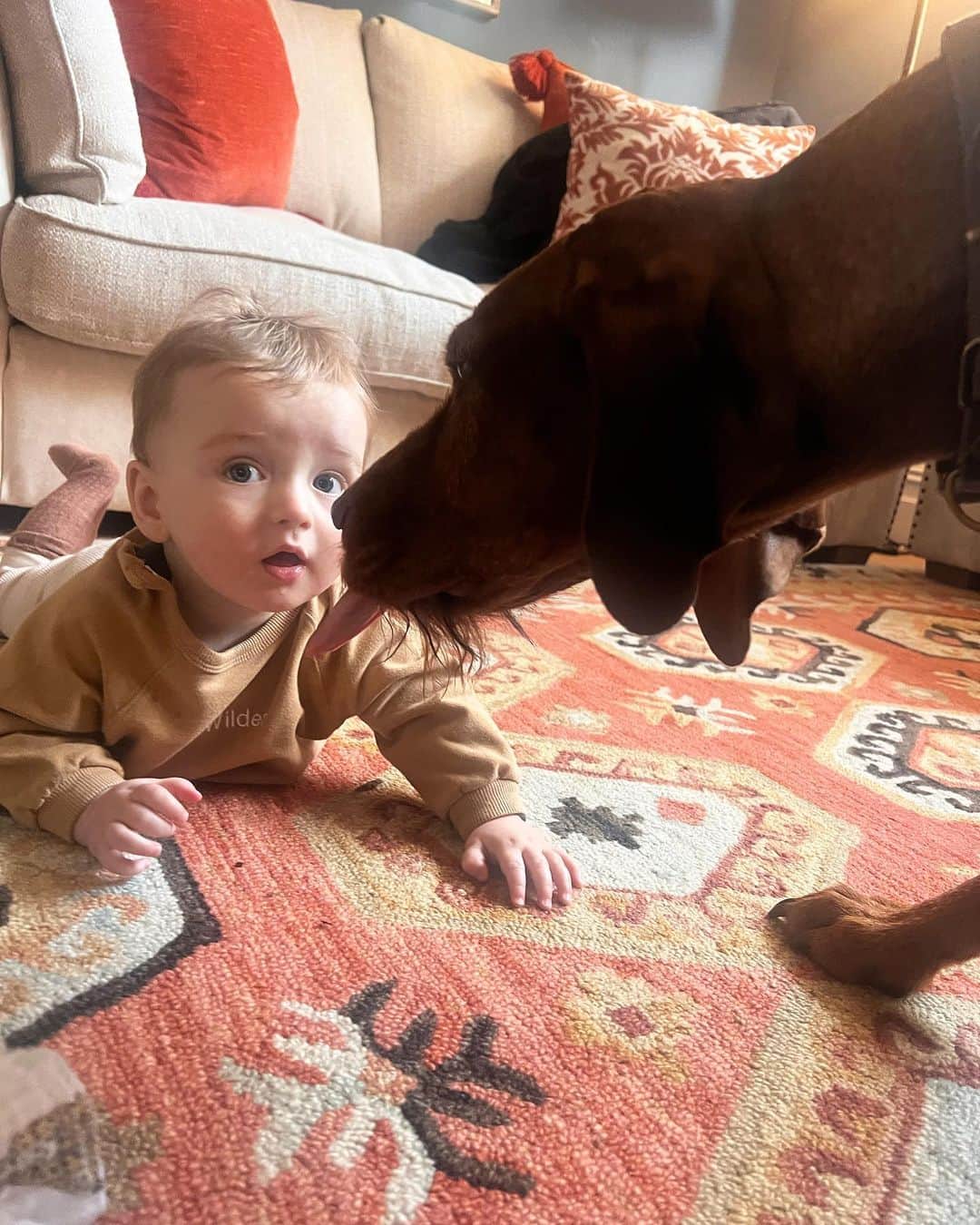 アレクサンドラ・フェルステッドのインスタグラム：「…. About to get a good 👅 🐕」