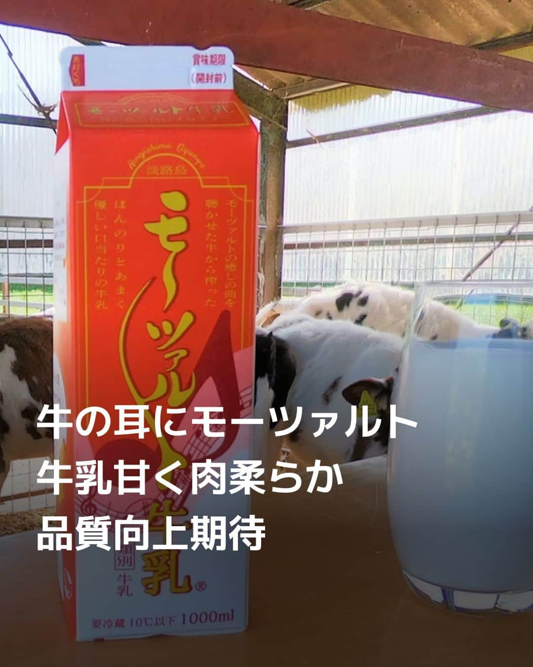日本経済新聞社のインスタグラム：「クラシックやジャズが流れる牛舎があります。音楽を聴かせると牛がリラックスし、牛乳は濃厚で甘く、牛肉は柔らかくなる効果を期待できます。既存商品との差を消費者にわかりやすく訴える手法は、内需が停滞する中で注目を集めます。⁠ ⁠ 詳細はプロフィールの linkin.bio/nikkei をタップ。⁠ 投稿一覧からコンテンツをご覧になれます。⁠→⁠@nikkei⁠ ⁠ #牛 #牛乳 #milk #牛肉 #音楽 #ジャズ #jazz #クラシック音楽 #リラックス #日経電子版」