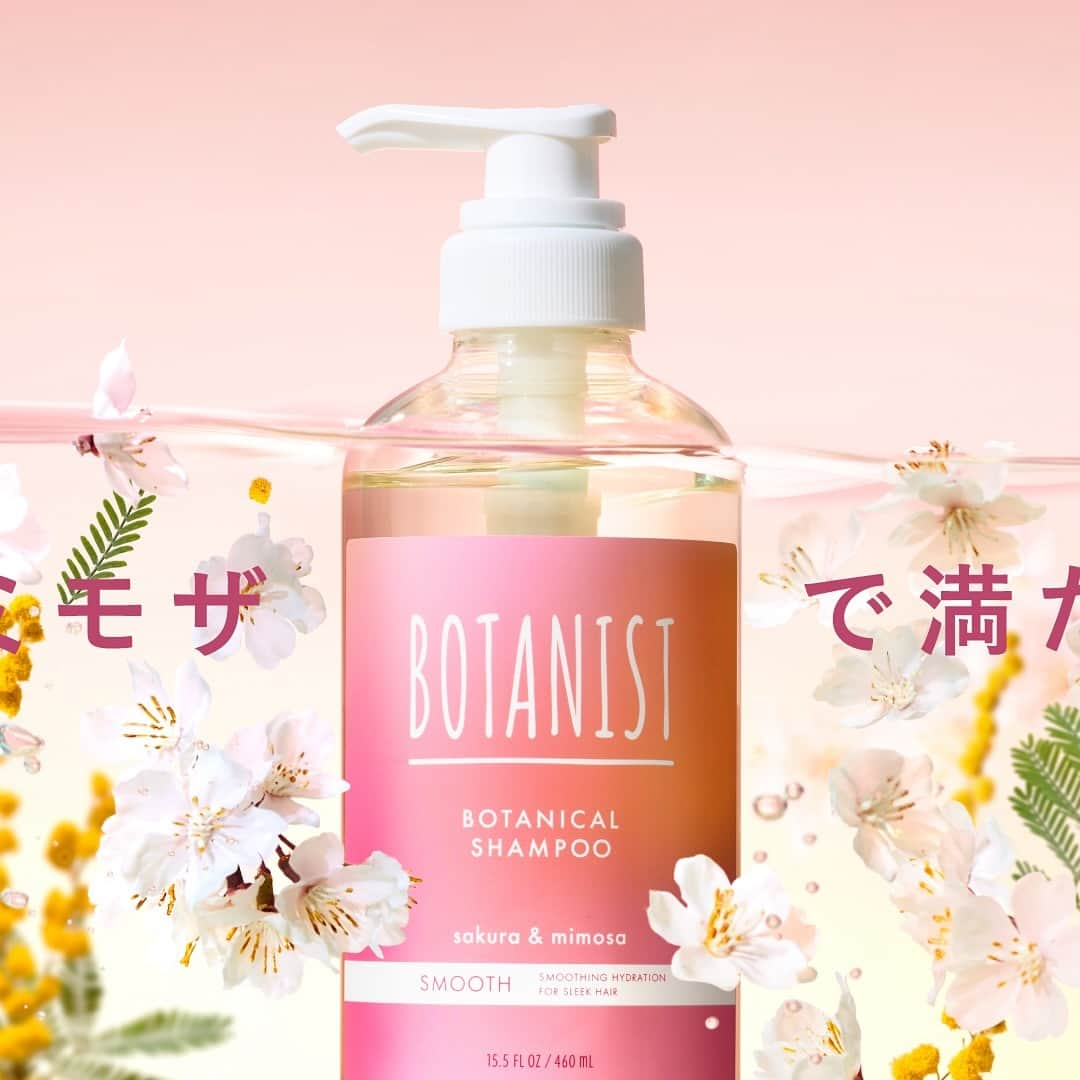 botanist officialのインスタグラム：「【本日発売！サクラとミモザで、満たしきる*。】 春限定『ボタニカルスプリングシリーズ』が、全国バラエティショップ、ドラッグストア（一部店舗除く）にて、販売スタート！  限定品の発売開始から8年目を迎える今年は『フレグランスコレクション』として展開✨ 第一弾は、春に人気の組み合わせNo.1** #サクラとミモザの香り をお届けします。  🌸サクラとミモザのWフレグランス ✔︎ パウダリーでフルーティーな甘さが特徴のサクラの香り ✔︎ 花の蜜感の甘さとグリーン感のある、爽やかさを感じるミモザの香り  サクラとミモザの香りを身にまとい、一足早い春の訪れを感じよう♪  * 香りによる ** 商品の香りに関する調査 N=211（2023年6月I-ne調べ）   ＜発売 / 取扱い店舗＞ 12/1（金）：全国バラエティショップ、ドラッグストア（一部店舗除く） 12/4（月）：公式オフィシャルサイト、ECサイト（楽天市場、Amazon、Yahoo!）  #サクラとミモザの香り #春限定 #桜の香り #ミモザの香り #ダブルフレグランス #フレグランスシャンプー #香り好き #トリートメント #シャンプー #ヘアケアアイテム #BOTANIST #ボタニスト #植物由来」