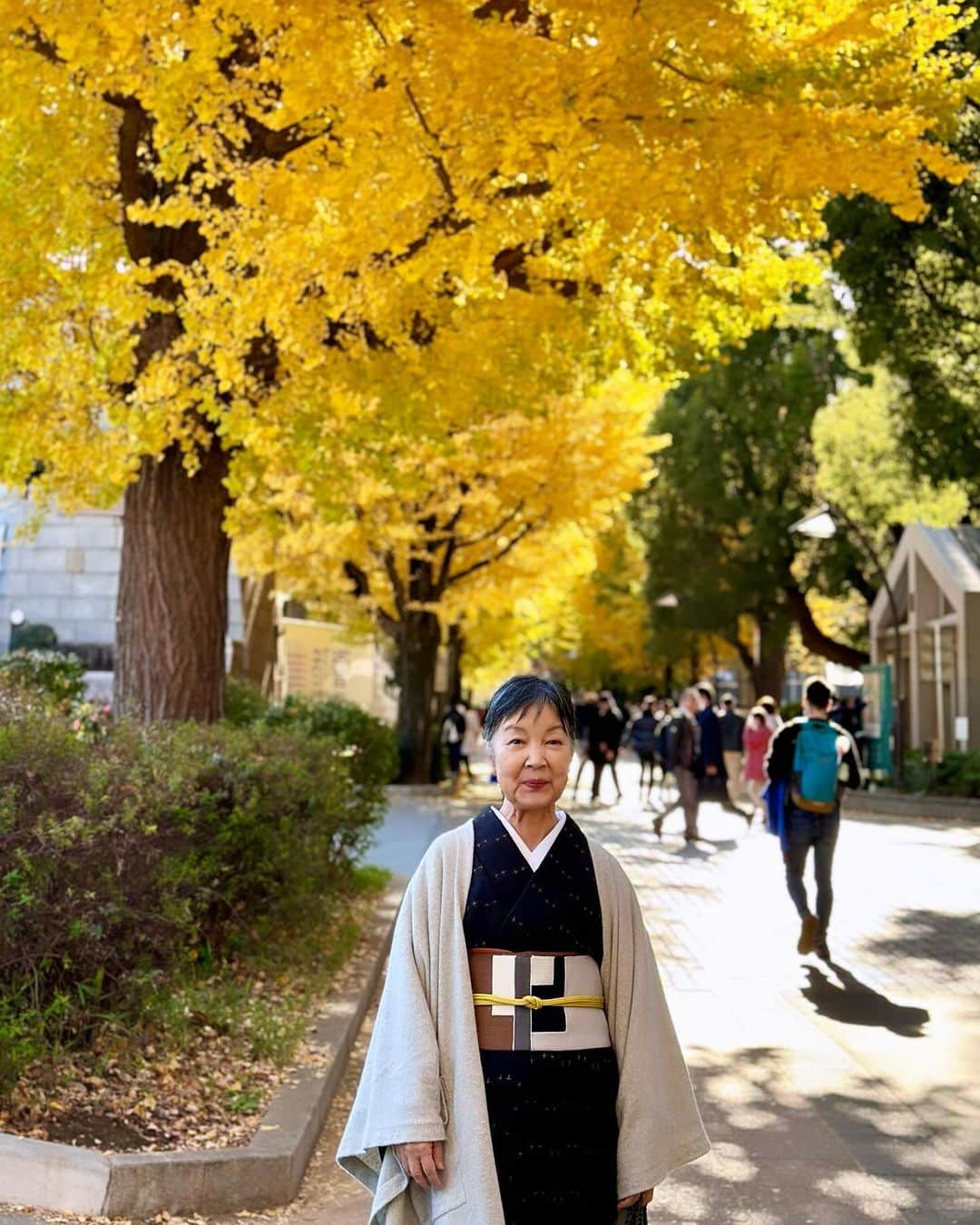 山崎陽子のインスタグラム：「黄葉 上野へ。トーハク「やまと絵」展すべり込み☺︎ #kimono #久米島紬 #ハタノネ  #甲斐凡子 #結城紬の帯 #染め分け帯 #八寸帯好き  #フォリア工房 #染と織たかはし  #冠組 #道明 #ポケット付きストール #yunahica  #上野好き」