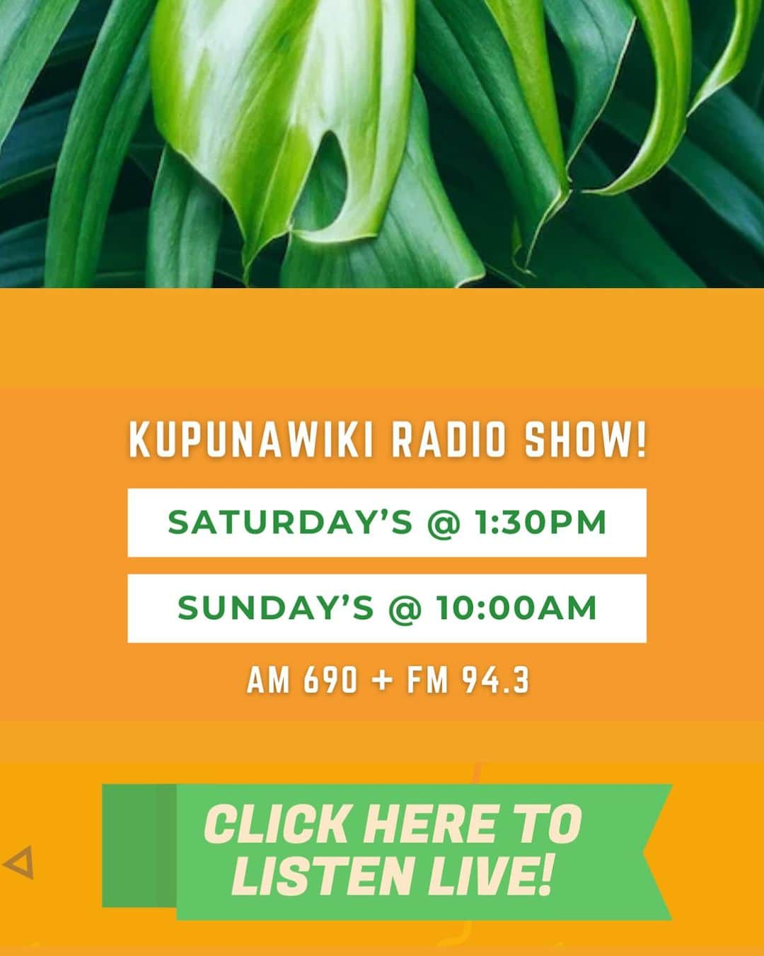 Reiko Lewisさんのインスタグラム写真 - (Reiko LewisInstagram)「Hawaii’s Senior Resource radio program, KupunaWiki Radio Show invited me for their January show to speak to the audience. The show’s hosts, Brandon and Andrew, and I talked about creating necessary conditions for a well-being residence for the Kupuna, or seniors and we also talked about a new service Ventus Design is planning to launch early next year.  Look forward to the program in January and stay tuned!   ハワイのシニア・リソース・ラジオ番組、クプナウィキ・ラジオ・ショーが1月向けの番組に私を招待してくださいました。番組の司会者であるブランドンとアンドリューとと一緒に、クプナ（高齢者）のためのウェルビーイング・レジデンスに必要な条件づくりは何なのかついて話し、またヴェンタス・デザインが来年早々に開始する予定になっている新しいサービスについても話しさせていただきました。  来月の番組放送をお楽しみに！」12月1日 12時07分 - ventus_design_hawaii