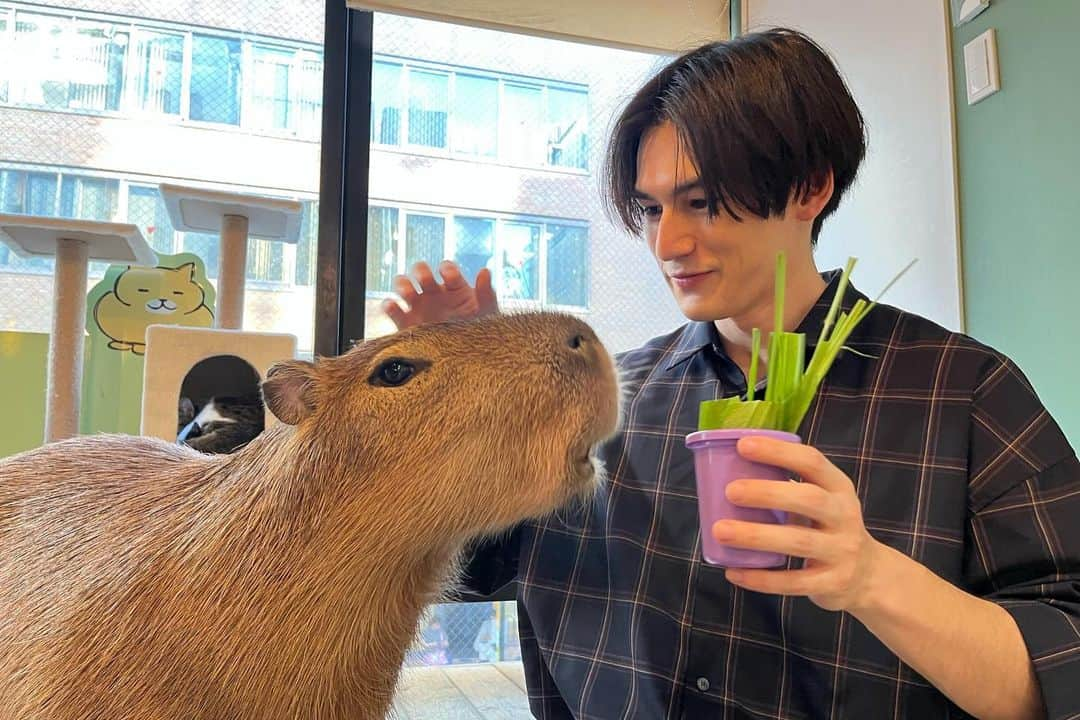 パース・ナクンさんのインスタグラム写真 - (パース・ナクンInstagram)「My dream of meeting a capybara came true ✨  カピバラビッグラブ🫶」12月1日 12時09分 - perth_ss