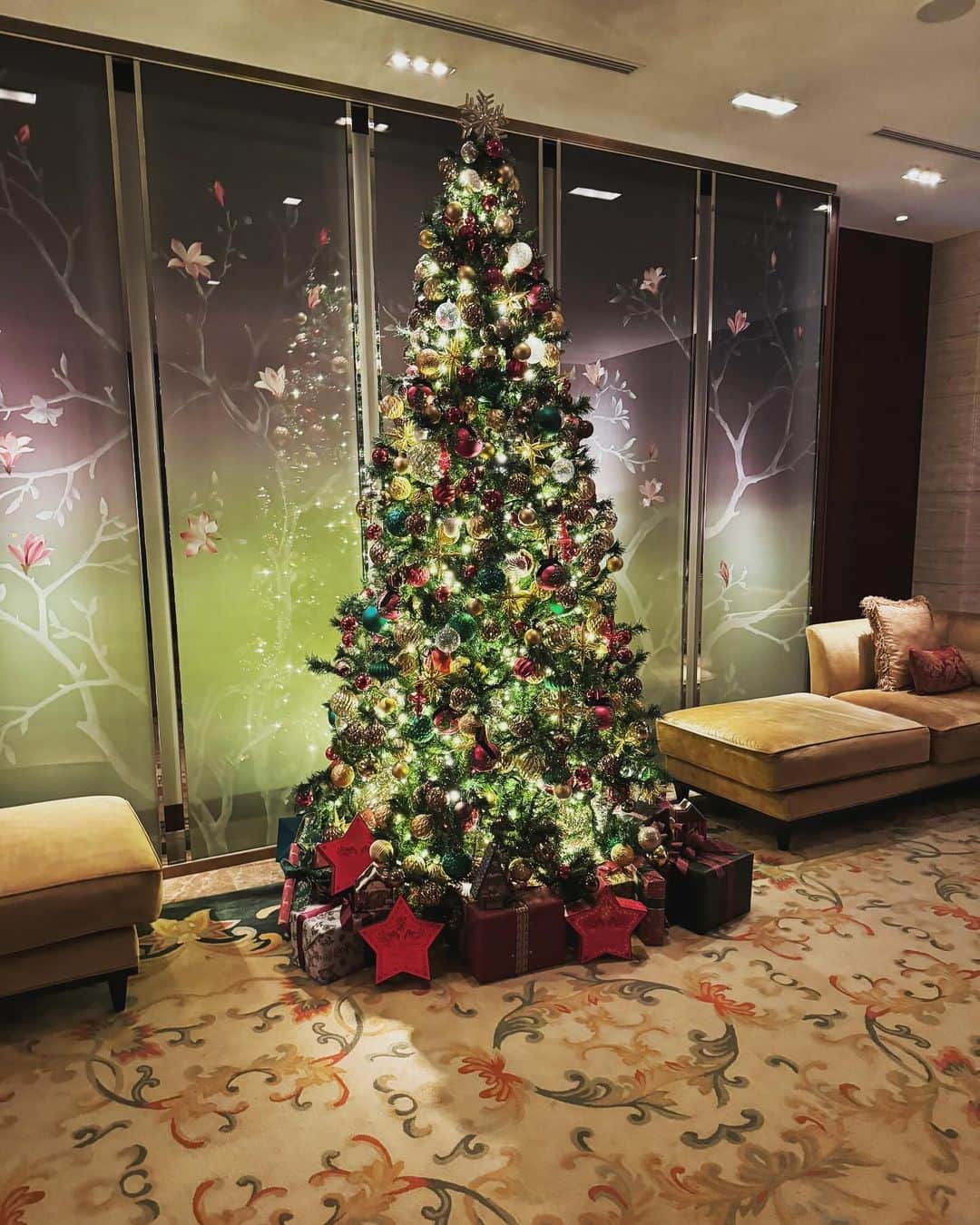 トラゾーのインスタグラム：「東京はクリスマスムードになってます🎄 クリスマスの時期の雰囲気好きなんだよなぁ」