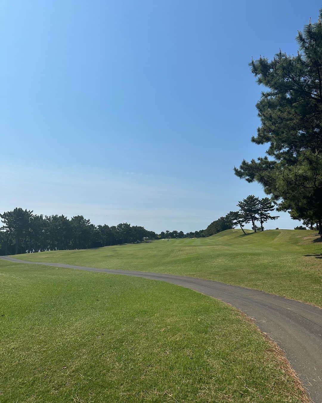 高野桃子さんのインスタグラム写真 - (高野桃子Instagram)「本当にはじめてよかった趣味🏌️‍♀️♡  今年載せきれないくらいたくさん行けたーー！ 仲間も増えて一緒にラウンドしてくれた方々ありがとうございました〜ん！みんなからいろんな事ちょっとずつ教わって、取り入れて、レッスン行ってないけどすこしは形になってきた‼︎？なにより太陽と青空の下で動くのが大好きだわって毎回思った ゴルフウェアは春夏、秋冬、それぞれ１着しかもってないのでいつも同じです笑 #ゴルフ」12月1日 4時08分 - takano_sd