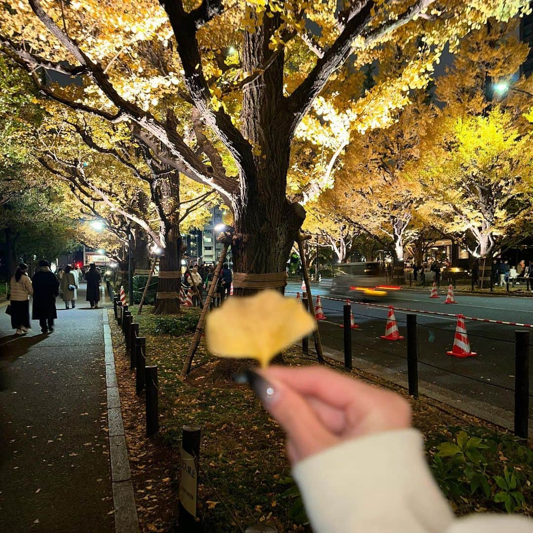 斉藤あやめのインスタグラム：「綺麗だった🍁⠜」