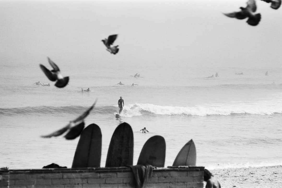 ロンハーマンさんのインスタグラム写真 - (ロンハーマンInstagram)「Now live on the journal: Todd Weaver’s experimental surf photography captures the true essence of the California dream in all its nostalgic glory.」12月1日 5時30分 - ronhermanstore