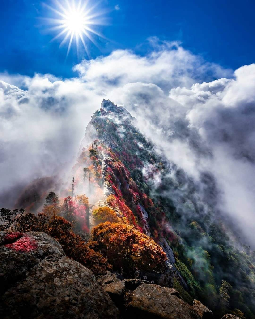 東京カメラ部公式さんのインスタグラム写真 - (東京カメラ部公式Instagram)「「@photravelers」アカウントへの @kenkenpa_photo さんの投稿作品。いいね＆コメント大歓迎です。  東京カメラ部分室 Photravelersでは、 #photo_travelers を付けた旅行写真を紹介します。  ※各種法令、マナー、関係者の指示に従った撮影をお願いします。 *Please ensure that your photography adheres to all relevant laws, etiquette, and instructions issued by authorized persons. ※本アカウントは東京カメラ部がFacebook、Instagramのサービスを利用して運営しているもので、Meta社・Instagramとは一切関係ありません。  【ご注意ください】 東京カメラ部を名乗るなりすましアカウントが確認されています。東京カメラ部Instagramアカウントは、利用（投稿、閲覧）のために費用をいただくことはありません。 東京カメラ部に関連するアカウントは東京カメラ部（ @tokyocameraclub ）がフォローしているアカウントのみとなります。（tuchong_opensee除く）  Follow: @photravelers  #photo_travelers #photravelers #travel #traveler #旅 #旅行 #写真」12月1日 6時30分 - tokyocameraclub