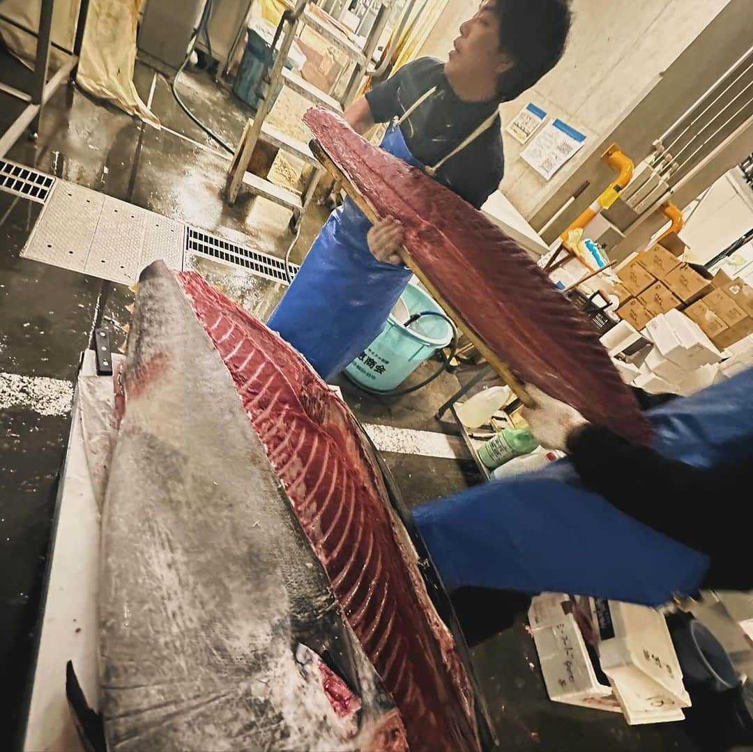 マッコイ斉藤のインスタグラム：「凄い！朝5時の豊洲市場は」