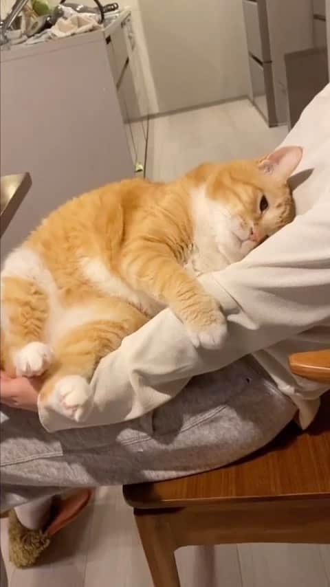 ぐっぴーのインスタグラム：「＊ おまったり。 ・ #甘えん坊おパンツ ・ Warm Guppy.」