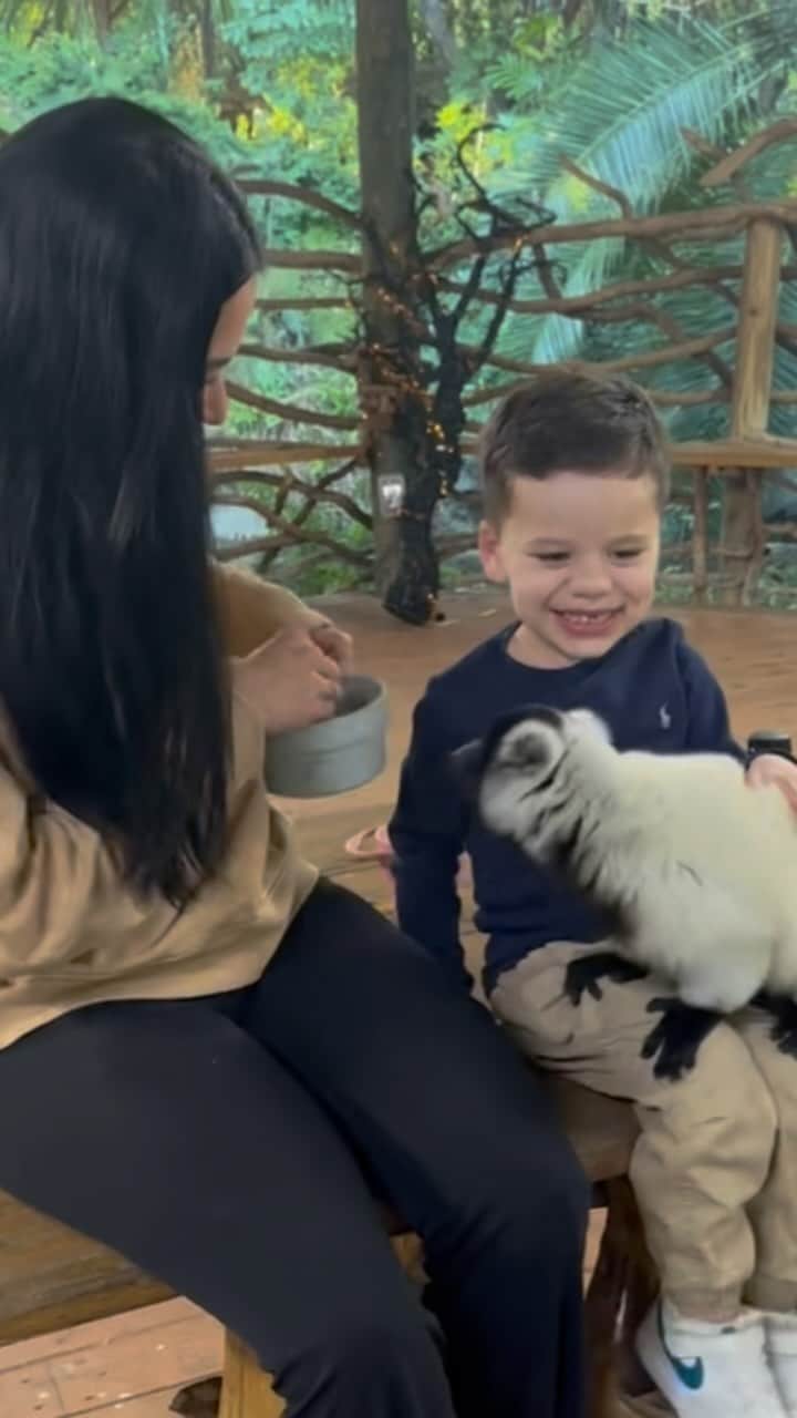 Zoological Wildlife Foundationのインスタグラム：「It’s a #familyaffair when you visit us @zwfmiami; our VP @mariazwfmiami’ daughter and grandson joined in for some fun meeting & learning about the wild animals today as little man Vinny visits and has time with abuela.  Meet our myriad of wildlife all weekend on your visit to ZWF. Call 📞 (305) 969-3696 and or visit ZWFMiami.com to book your next tour.  #funforthewholefamily #goodtimes #wildlife #interactive」