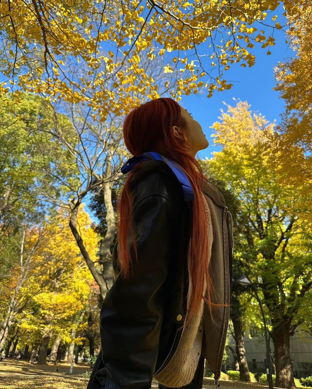 ホ・ユンジンさんのインスタグラム写真 - (ホ・ユンジンInstagram)「tree hugger」12月1日 8時46分 - jenaissante
