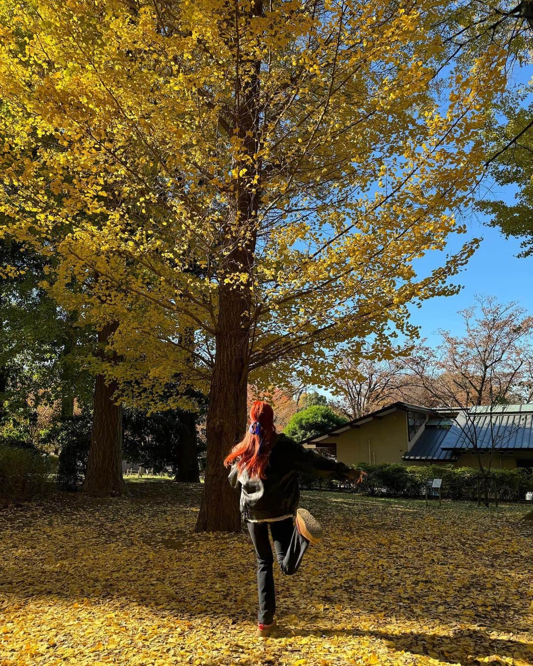 ホ・ユンジンさんのインスタグラム写真 - (ホ・ユンジンInstagram)「tree hugger」12月1日 8時46分 - jenaissante