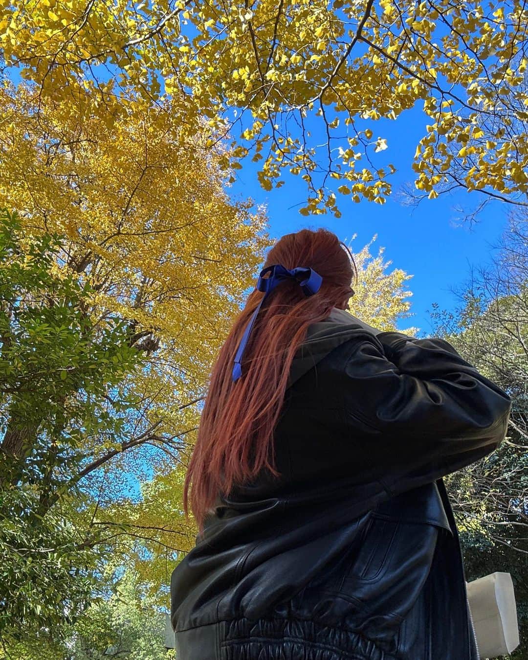 ホ・ユンジンさんのインスタグラム写真 - (ホ・ユンジンInstagram)「tree hugger」12月1日 8時46分 - jenaissante