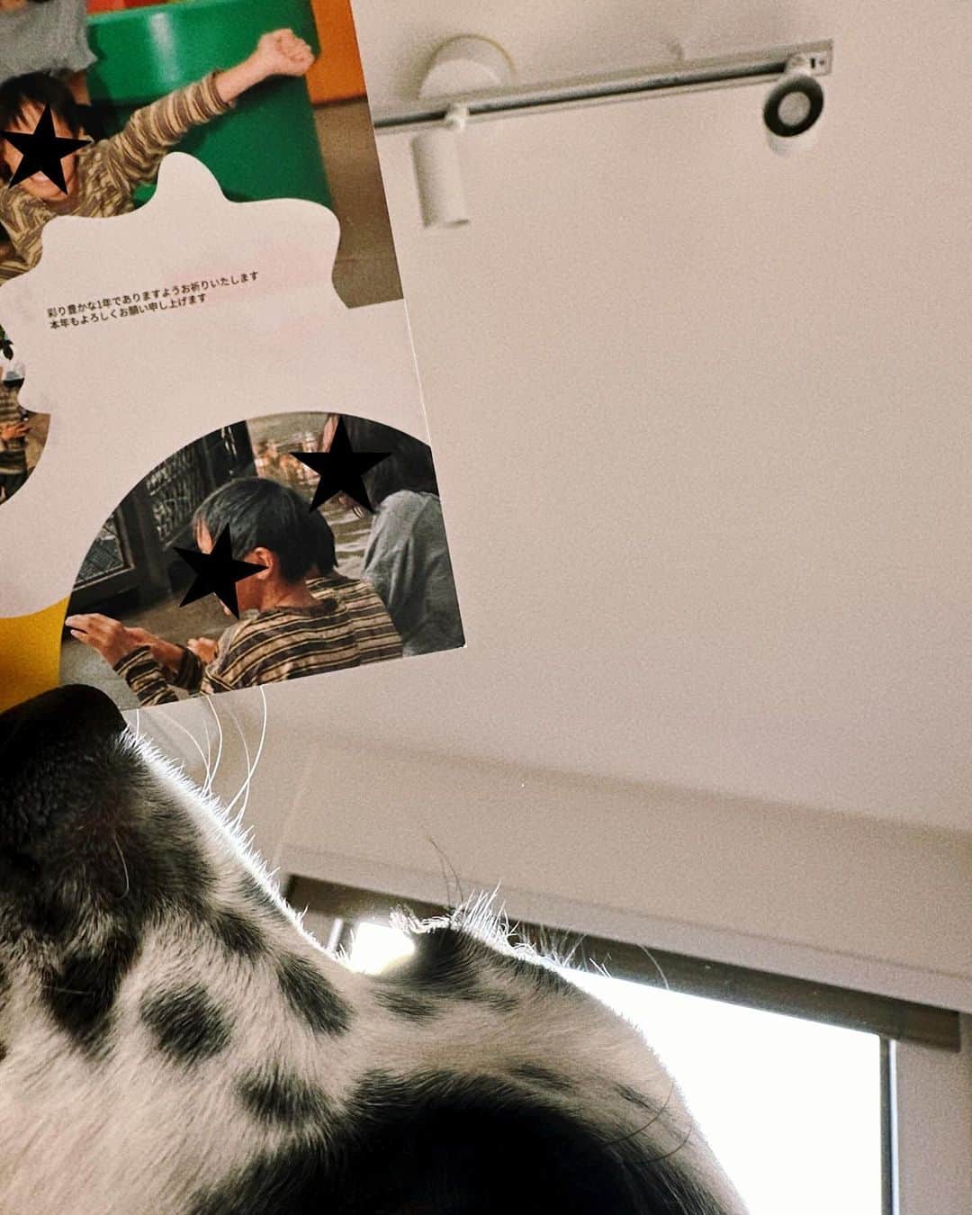牧野紗弥さんのインスタグラム写真 - (牧野紗弥Instagram)「今年も年賀状は「みてね年賀状」で作成しました✌🏻 去年よりも早く（郵便局の待ち時間の間に🤣）10分位でオーダー完了🤭 12/15までは私がオーダーしたような、お試し年賀状が作れるのでぜひ♡ クーポンコードを入れると10%オフになるので、使ってみてください☀️☀️☀️ 我が家の年賀状、アニーは今年も入れず1枚目の顔w 写真は強行で2回行ったUSJの写真でまとめてみました❗️ 印刷代10%オフクーポン→saya_2024 @mitene_official  #みてね年賀状#みてね#みてねアプリ#年賀状#pr」12月1日 9時07分 - makinosaya
