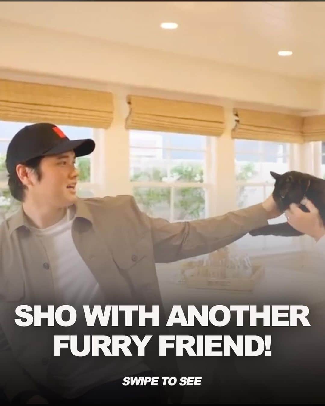 MLBのインスタグラム：「You’ve seen Shohei with a dog.  Now get ready for: Shohei with a cat. 🐈‍⬛  🎥: @MLBPA」