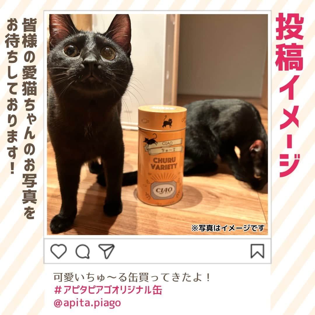 デイジーラボさんのインスタグラム写真 - (デイジーラボInstagram)「. 【♡🐈オリジナルCIAOちゅ～る缶フォトコンテスト 開催🐈♡】  猫ちゃんに大人気のCIAOちゅ～るのオリジナル缶に新色の『アイボリー』が登場✨✨ アピタ・ピアゴ公式Instagramでは新色発売を記念したキャンペーンを開催中🐈♡  おうちのご自慢の猫ちゃんとオリジナルCIAOちゅ～る缶の写真を撮って投稿することで限定グッズとおやつのセットをゲット☆ みなさんのかわいい猫ちゃんの写真をお待ちしてます♪  詳しい応募方法はこちら↓  ■参加方法 ①アピタ・ピアゴ公式 apita.piagoアカウントをフォロー ②オリジナル缶を購入後、ペットの猫ちゃんとオリジナル缶が一緒に写った写真を「@apita.piago」のメンションと「 #アピタピアゴオリジナル缶 」のハッシュタグをつけて投稿で完了！ 投稿いただいた方の中から20名様に「ノベルティ3点とCIAOおやつ5点セット」をプレゼント🎁 たくさんのご応募お待ちしています♪  ■応募期間 2023/12/1(金)～ 2024/1/8(月・祝)23:59  ■注意事項 ※アカウントを公開にしてご応募ください。 ※当選者の方には 2024 年1月15日(月)までに DM にてご連絡しますのでフォローは外さないようお願いします。 ※当選のご連絡までにフォローを外された場合、当選は無効となります。 ※発送対象は日本国内のみ、対応はすべて日本語のみとなりますので、予めご了承 ください。  ■応募規約 ・本キャンペーンのご応募と景品のお届けは、日本国内にお住まいの方に限定させていただきます。 ・応募の際は必ずアカウントを「公開」にした状態でご応募ください。 ・景品の発送は2024年2月下旬を予定しております。都合により景品の発送が多少遅れる場合もございます。あらかじめご了承ください。 ・当選者の住所、転居先不明・長期不在などにより景品をお届けできない場合は、当選を無効とさせていただきます。 ・当選連絡後、ダイレクトメッセージにて指定の期日までに景品発送先等の必要事項をご連絡いただけなかった場合は、当選を無効とさせていただきます。 ・個人情報は、景品の発送にのみ使用させて頂きます。 ・当選者の選定方法及び結果に関するお問い合わせはお受けできませんのでご了承ください。 ・景品当選の権利は、第三者に譲渡・質入等できません。 ・本キャンペーンの内容は、予告なく変更になる場合がございます。あらかじめご了承ください。  ※アピタ•ピアゴで販売しております ※オンラインショップでも販売中です 詳しくはハイライトをご覧ください  【下記店舗では販売がございません 】 ●アピタパワー　新守山 ●ピアゴ　蟹江・味鋺・清洲・大治・西春・黒笹 ●ピアゴパワー長久手 ●ピアゴラ フーズコア　今池・赤池・徳重・神野・正保・三河安城・半田清城・柴田・黒川 ●ユーストア　萱場・金沢ベイ  #ciaoちゅーる #ちゅーる#ペットのいる生活　#猫のいる暮らし　#猫がいる生活　#ねこすたぐらむ　#cats  #catstagram #petstagram #instacat #cutepets　#猫 #猫好き #猫グッズ  #猫好きさんと繋がりたい  #プレゼント企画 #プレゼントキャンペーン #ペット #フォトコンテスト　#アピタ #ピアゴ　#ユニー」12月1日 10時00分 - apita.piago