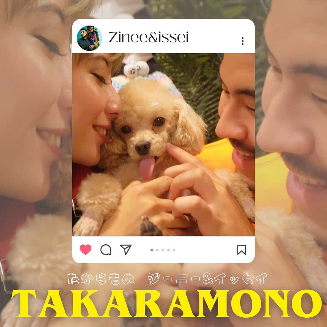 ゴスペラーズ【公式】のインスタグラム：「. ／ 男女混合ユニットZinee&issei(ジーニー&イッセイ)の新曲「TAKARAMONO」 に #北山陽一 がコーラスで参加✨ ＼ ＜配信シングル＞ Zinee&issei「TAKARAMONO」 リリース日：2023年12月1日（金）  ※楽曲の収益の一部は、動物愛護及び保護団体へ寄付されます  #ゴスペラーズ」