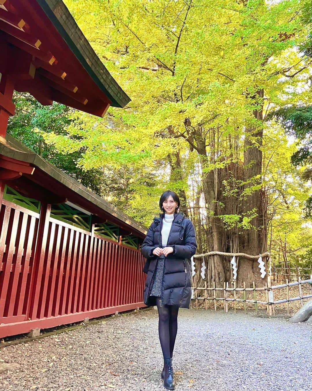 横山ルリカさんのインスタグラム写真 - (横山ルリカInstagram)「. 『そうだ京都へ行こう』🍁のCMが浮かぶくらい、大國魂神社の紅葉が美しかったです⛩ 夏とはまた違った大銀杏の迫力も堪能してきました✨  そして今日から12月、もう師走という事に驚き😱１ヶ月後は新年なんですね😳  #大國魂神社  #御朱印　 #大銀杏  #🍁🍁🍁  #紅葉 #12月 #今年もあっという間に終わりそう   明日12/2（土）20:00〜フジテレビone 【競馬予想TV!】🏇  ダートの頂上決戦👑G１チャンピオンズC  予想バトルをお楽しみに🔥  #競馬予想TV #チャンピオンズC  12/3（日）8:00〜TOKYO FM🎧 【TOKYO TEPPAN FRIDAY スピンオフ TEPPAN グルメ】  TOKYO食サミットで行われた公開収録の模様をお届けします🍔  ぜひ、お聴きください🌈  #TOKYOFM #TOKYOTEPPANFRIDAY #東京ビッグサイト　 #食サミット  そして15:00〜 BSフジ 【BSスーパーKEIBA】に出演します👑 ぜひ、ご覧ください🏇  #BSフジ #BSスーパーKEIBA」12月1日 10時34分 - rurika_yokoyama_official