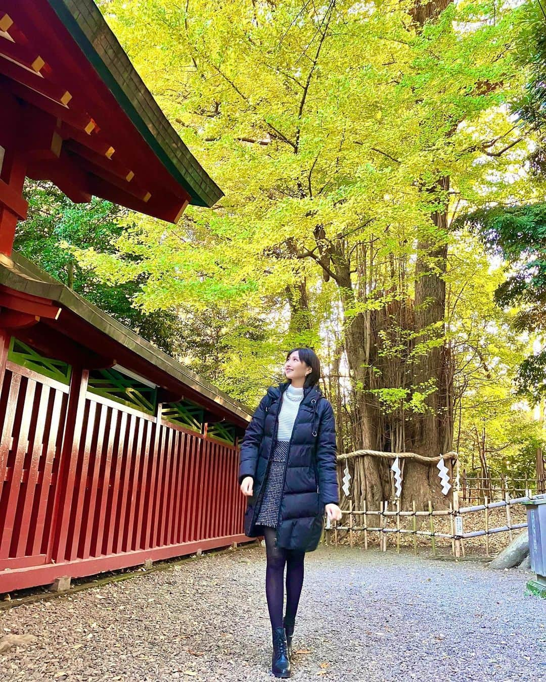 横山ルリカのインスタグラム：「. 『そうだ京都へ行こう』🍁のCMが浮かぶくらい、大國魂神社の紅葉が美しかったです⛩ 夏とはまた違った大銀杏の迫力も堪能してきました✨  そして今日から12月、もう師走という事に驚き😱１ヶ月後は新年なんですね😳  #大國魂神社  #御朱印　 #大銀杏  #🍁🍁🍁  #紅葉 #12月 #今年もあっという間に終わりそう   明日12/2（土）20:00〜フジテレビone 【競馬予想TV!】🏇  ダートの頂上決戦👑G１チャンピオンズC  予想バトルをお楽しみに🔥  #競馬予想TV #チャンピオンズC  12/3（日）8:00〜TOKYO FM🎧 【TOKYO TEPPAN FRIDAY スピンオフ TEPPAN グルメ】  TOKYO食サミットで行われた公開収録の模様をお届けします🍔  ぜひ、お聴きください🌈  #TOKYOFM #TOKYOTEPPANFRIDAY #東京ビッグサイト　 #食サミット  そして15:00〜 BSフジ 【BSスーパーKEIBA】に出演します👑 ぜひ、ご覧ください🏇  #BSフジ #BSスーパーKEIBA」