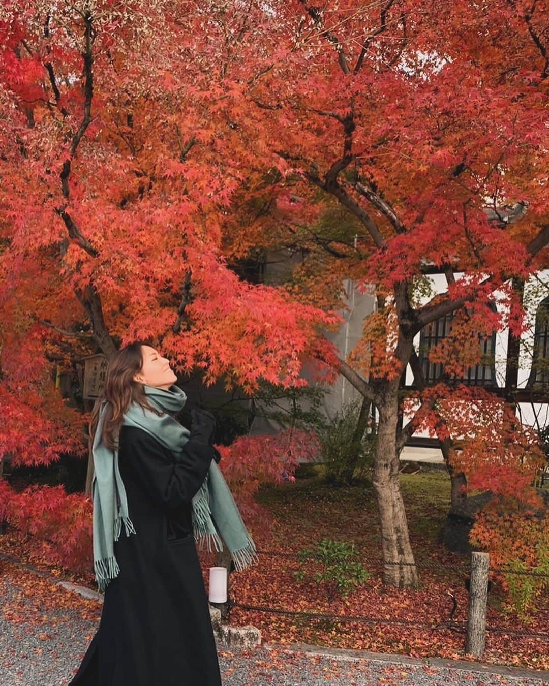 西内ひろさんのインスタグラム写真 - (西内ひろInstagram)「What a beautiful🍂🍁🍂 I'm came to Kyoto again with family👩🏻‍🦰🧑🏻‍🦰👩  母と妹で京都へ来ています🙏 もみじのグラデーションの美しさに感動。。。  京都は日本の歴史を感じることができるので 和の魅力にインスピレーションが湧いてきます。  #京都 #紅葉 #もみじ #kyoto #japan」12月1日 10時40分 - 0214hiro