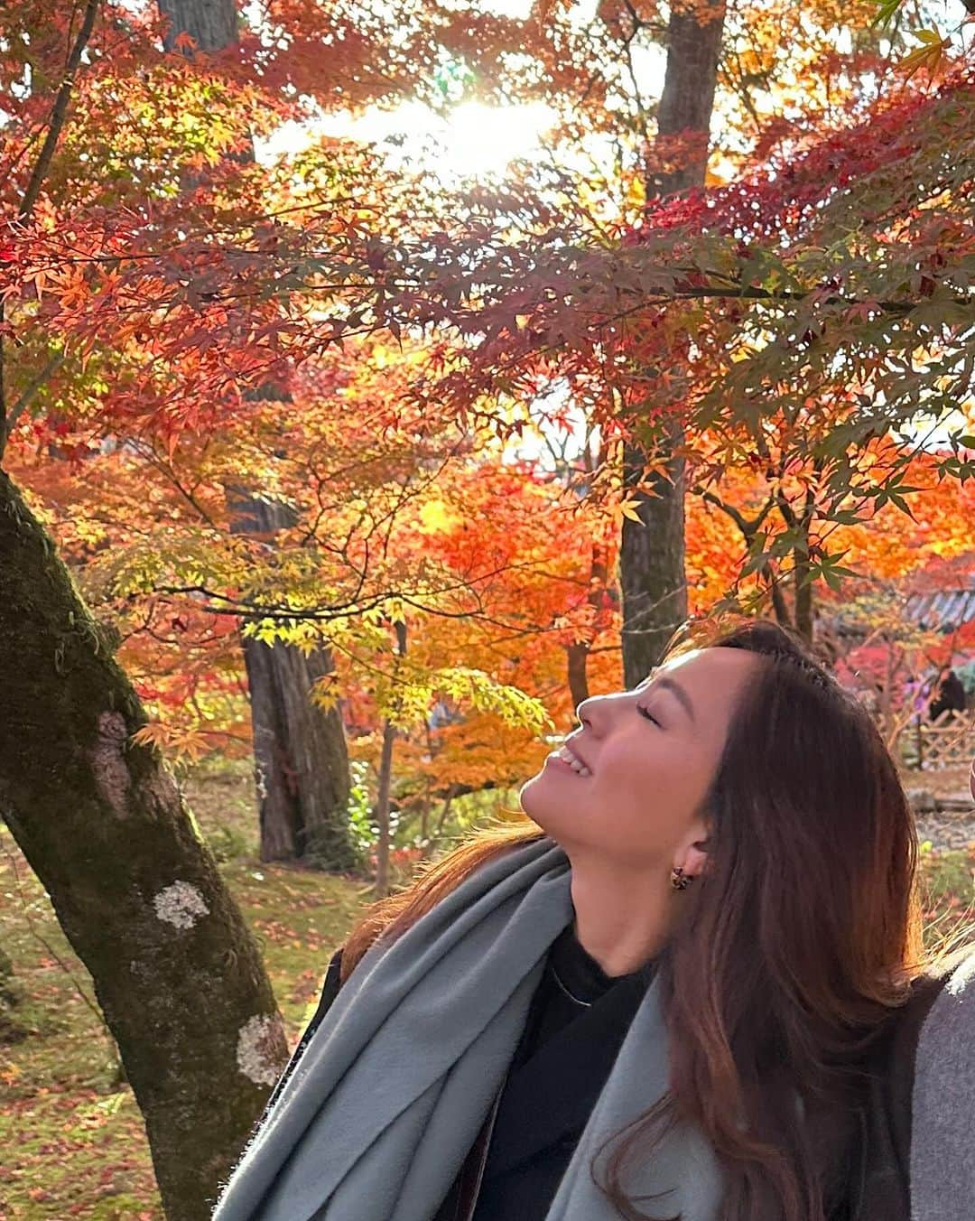 西内ひろさんのインスタグラム写真 - (西内ひろInstagram)「What a beautiful🍂🍁🍂 I'm came to Kyoto again with family👩🏻‍🦰🧑🏻‍🦰👩  母と妹で京都へ来ています🙏 もみじのグラデーションの美しさに感動。。。  京都は日本の歴史を感じることができるので 和の魅力にインスピレーションが湧いてきます。  #京都 #紅葉 #もみじ #kyoto #japan」12月1日 10時40分 - 0214hiro