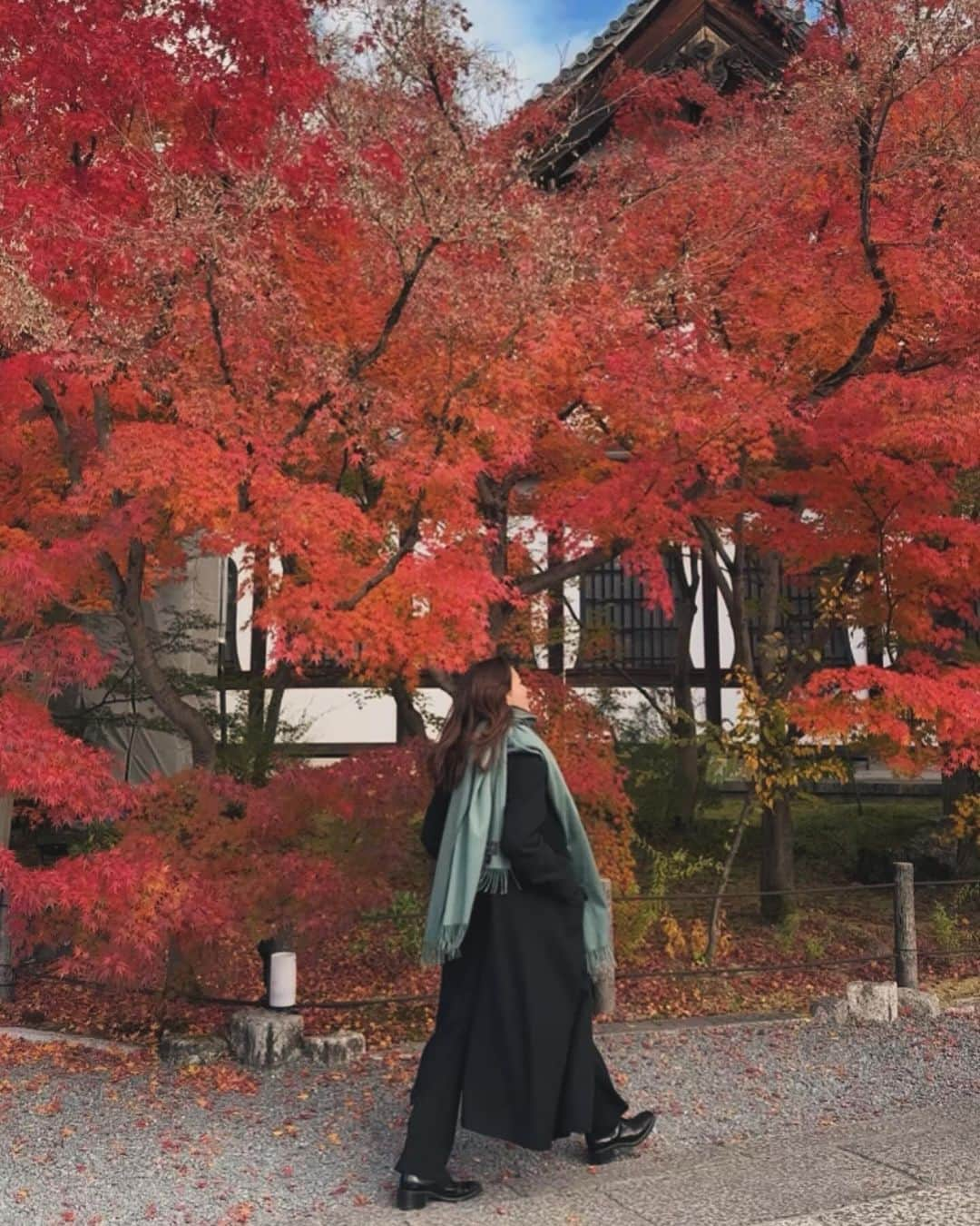 西内ひろさんのインスタグラム写真 - (西内ひろInstagram)「What a beautiful🍂🍁🍂 I'm came to Kyoto again with family👩🏻‍🦰🧑🏻‍🦰👩  母と妹で京都へ来ています🙏 もみじのグラデーションの美しさに感動。。。  京都は日本の歴史を感じることができるので 和の魅力にインスピレーションが湧いてきます。  #京都 #紅葉 #もみじ #kyoto #japan」12月1日 10時40分 - 0214hiro