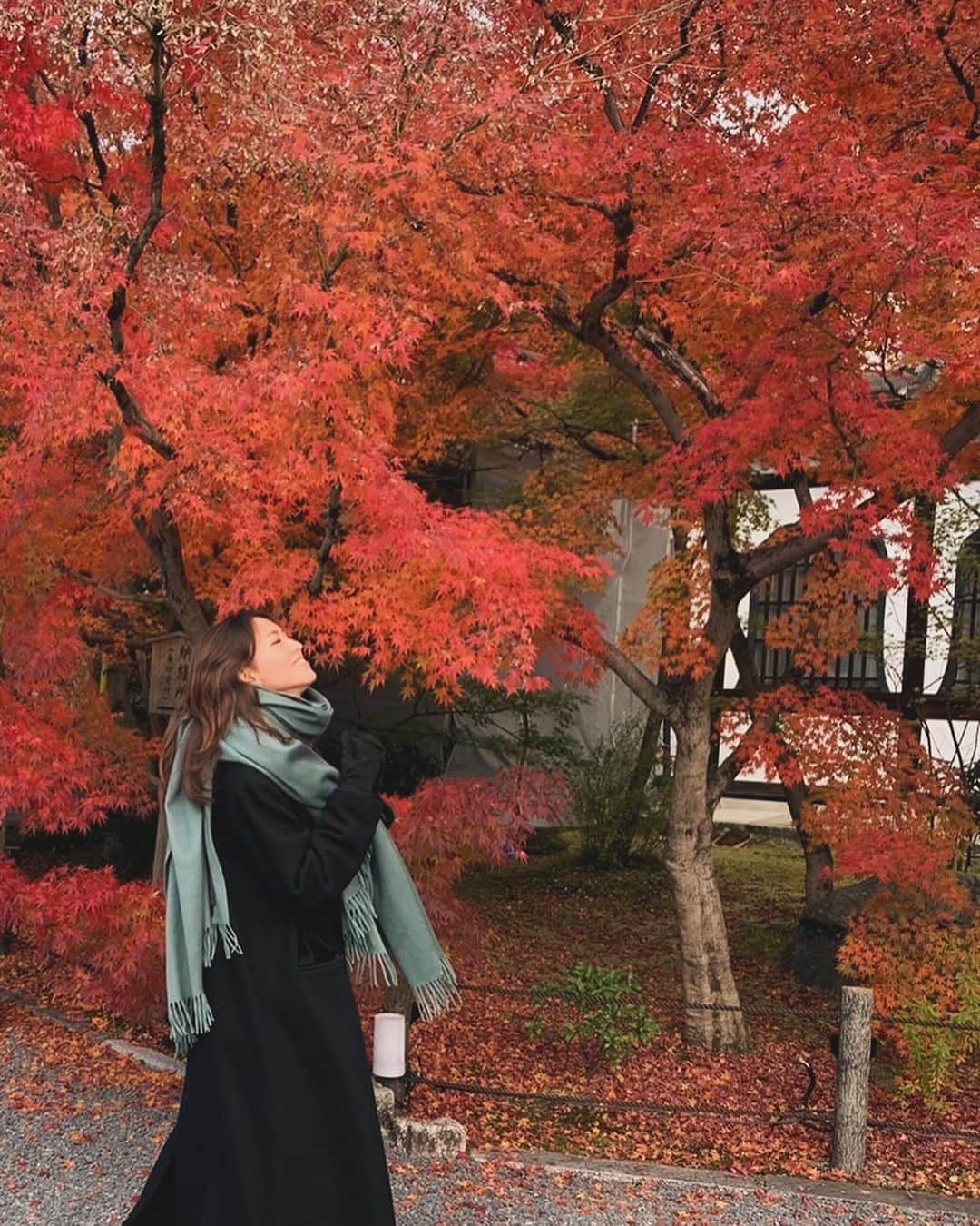 西内ひろのインスタグラム：「What a beautiful🍂🍁🍂 I'm came to Kyoto again with family👩🏻‍🦰🧑🏻‍🦰👩  母と妹で京都へ来ています🙏 もみじのグラデーションの美しさに感動。。。  京都は日本の歴史を感じることができるので 和の魅力にインスピレーションが湧いてきます。  #京都 #紅葉 #もみじ #kyoto #japan」