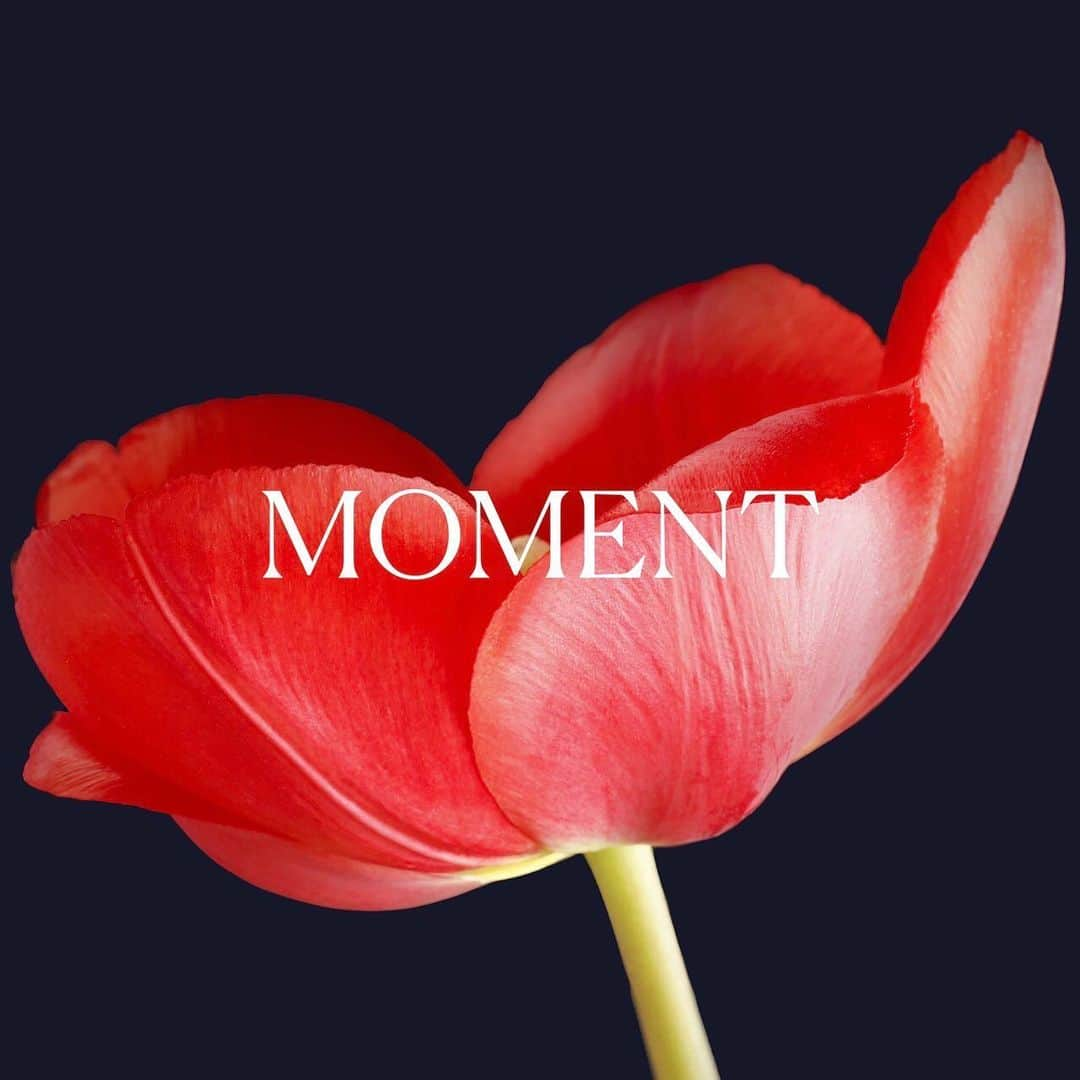 乃愛のインスタグラム：「本日よりMOMENT ( @moment_mgmt )に所属する運びとなりました  新しく素敵な方達にサポートしていただきながらより一層励んで参ります🕕  お仕事でお世話になっている皆様、いつもありがとうございます。 連絡先が変わっておりますので、メールでご連絡いただく際はプロフィールのメールボタンよりご確認、ご連絡いただけますと大変嬉しいです..！  よろしくお願いいたします〜！」